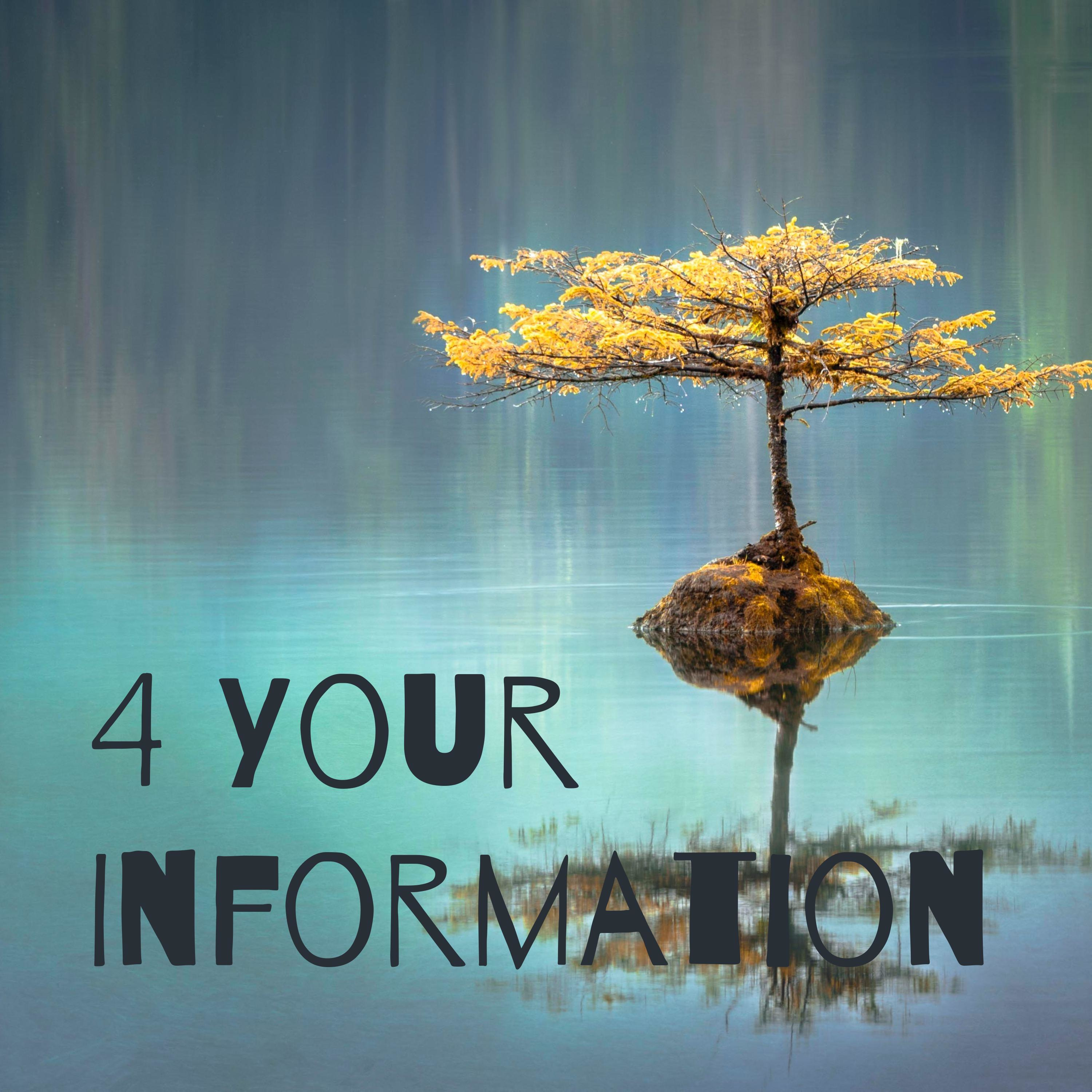 4 Your Information