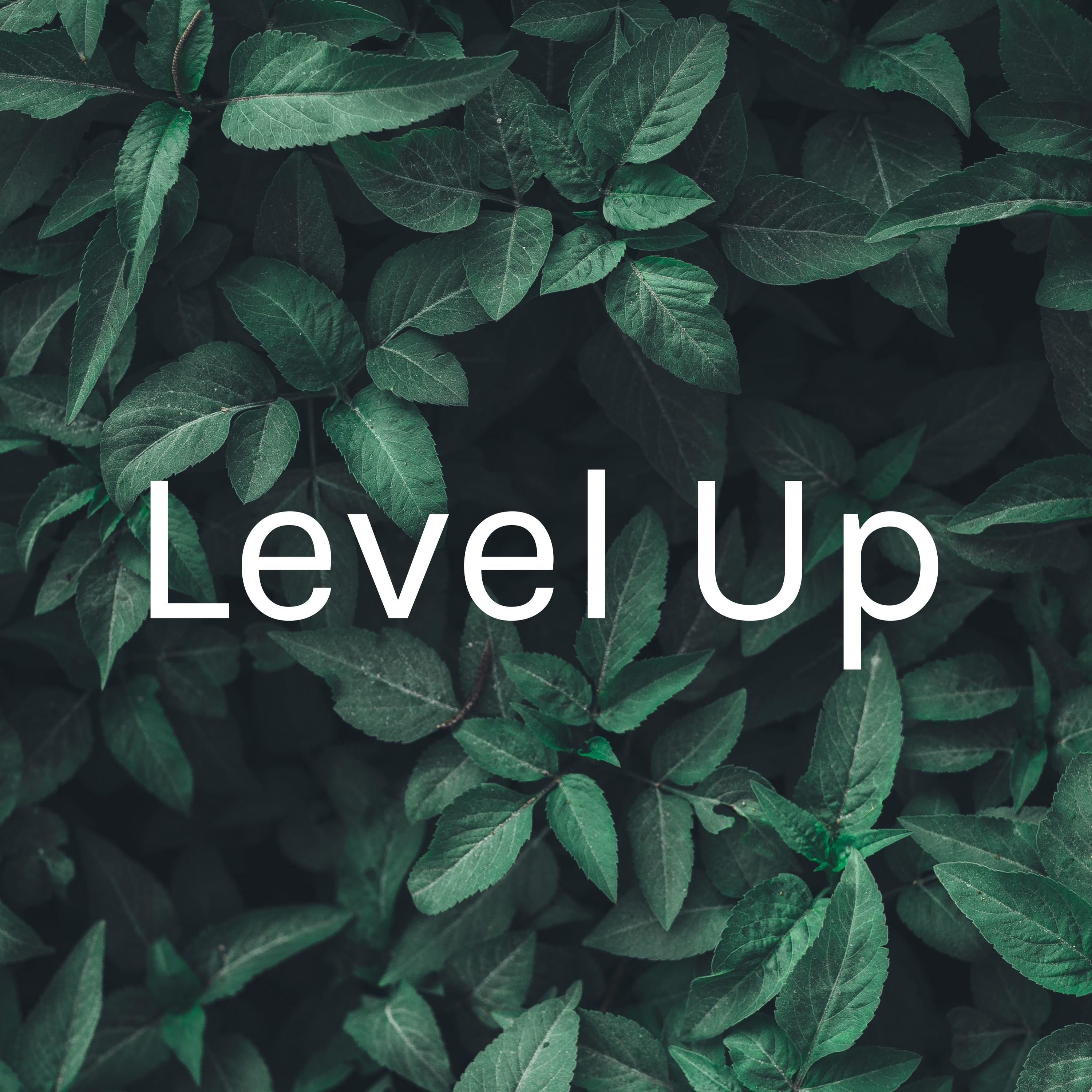 High Performance Teamwork