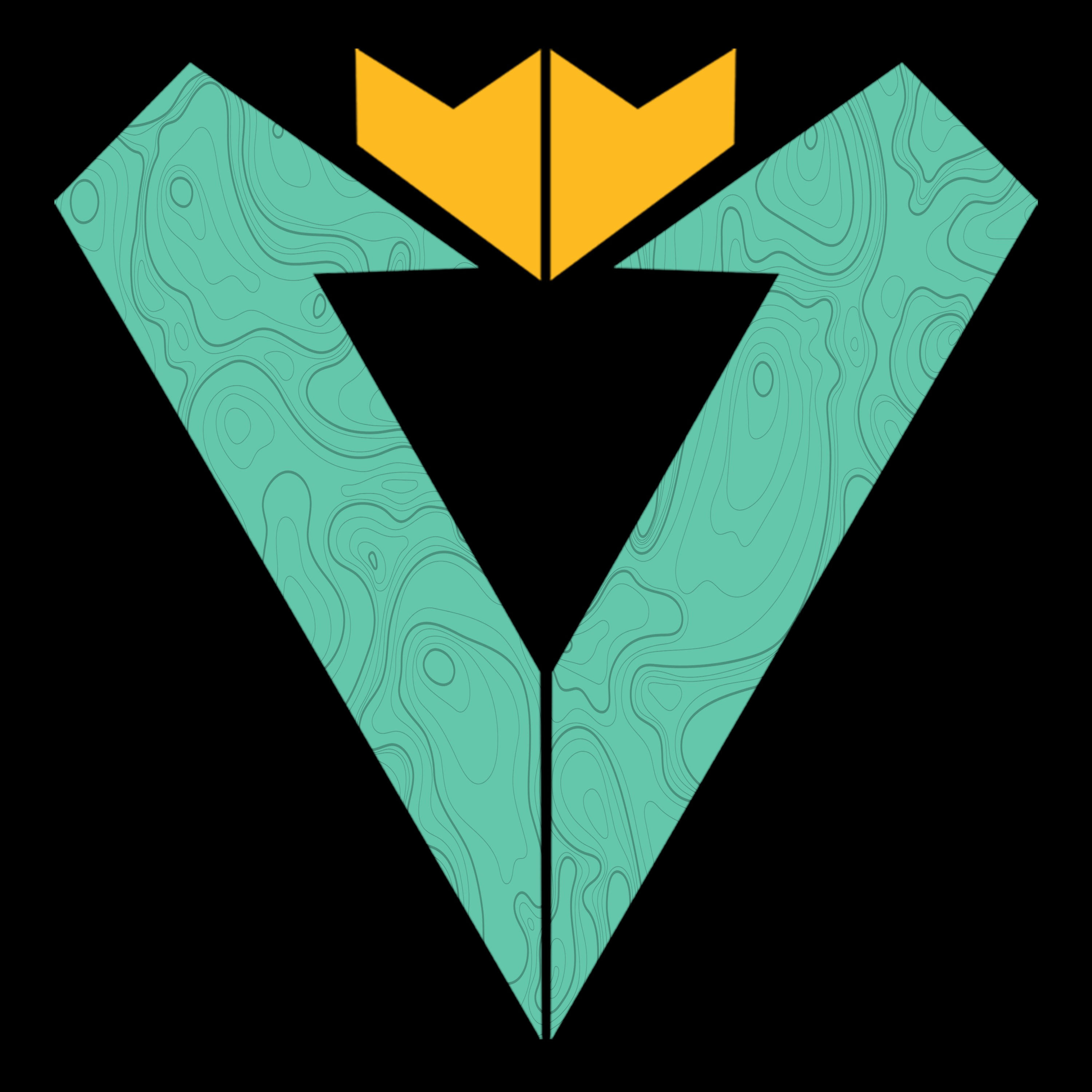 The Valid Podcast podcast artwork