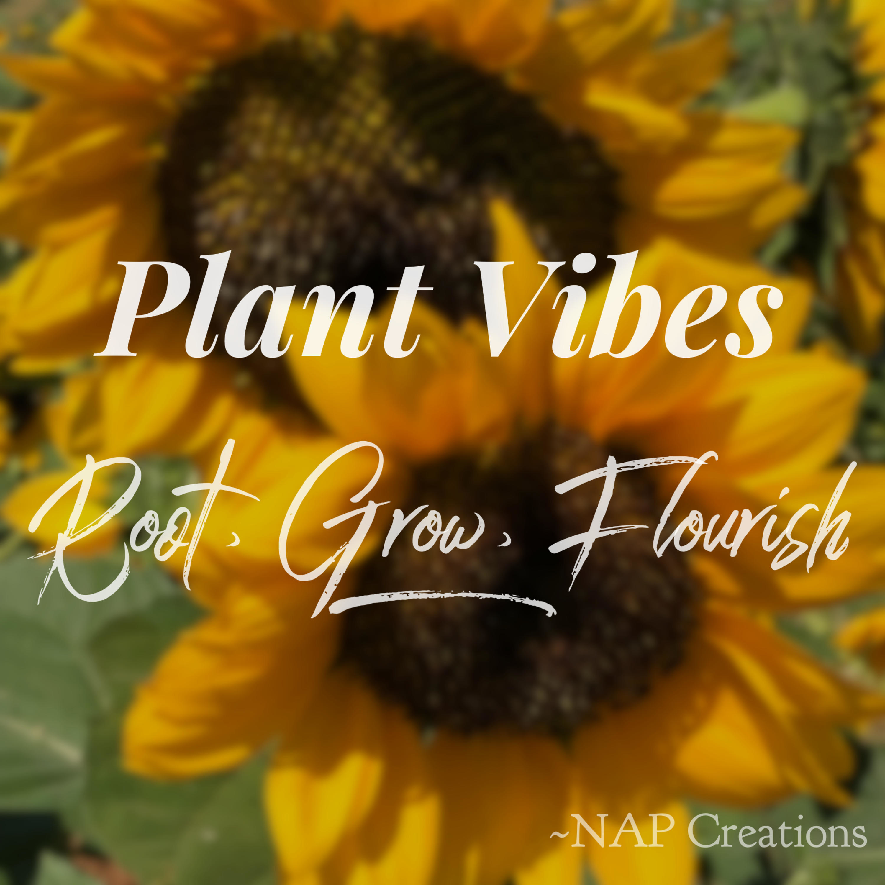 Plant Vibes