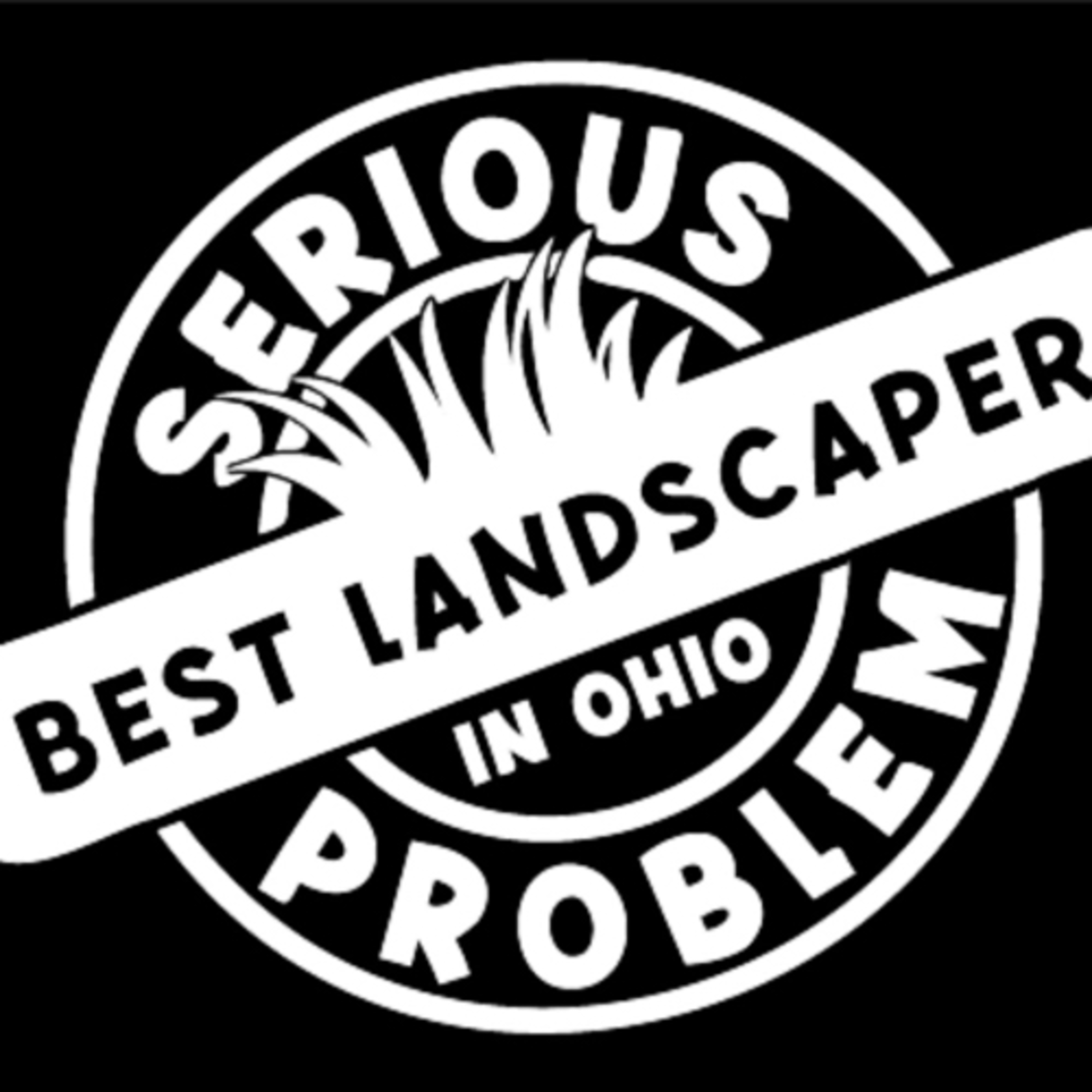serious problem podcast artwork