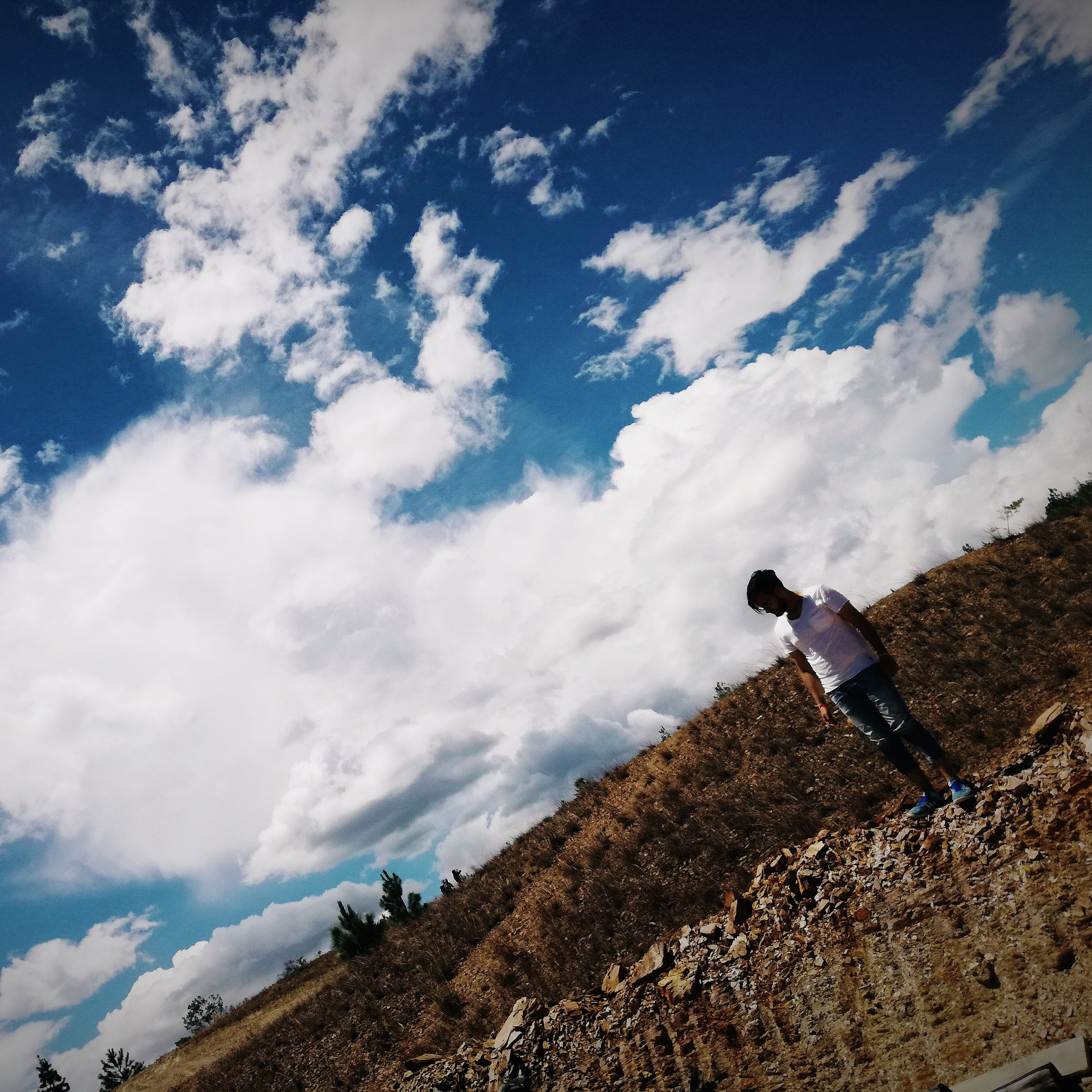 Proyecto Vida X Vida