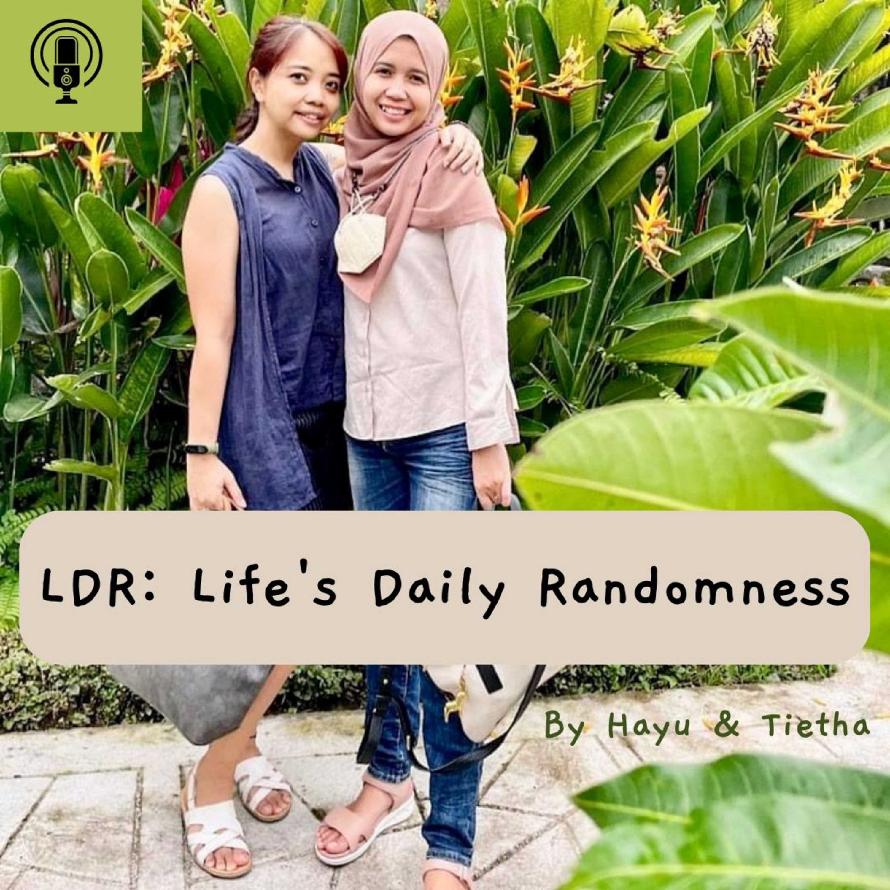 LDR: Life\'s Daily Randomness