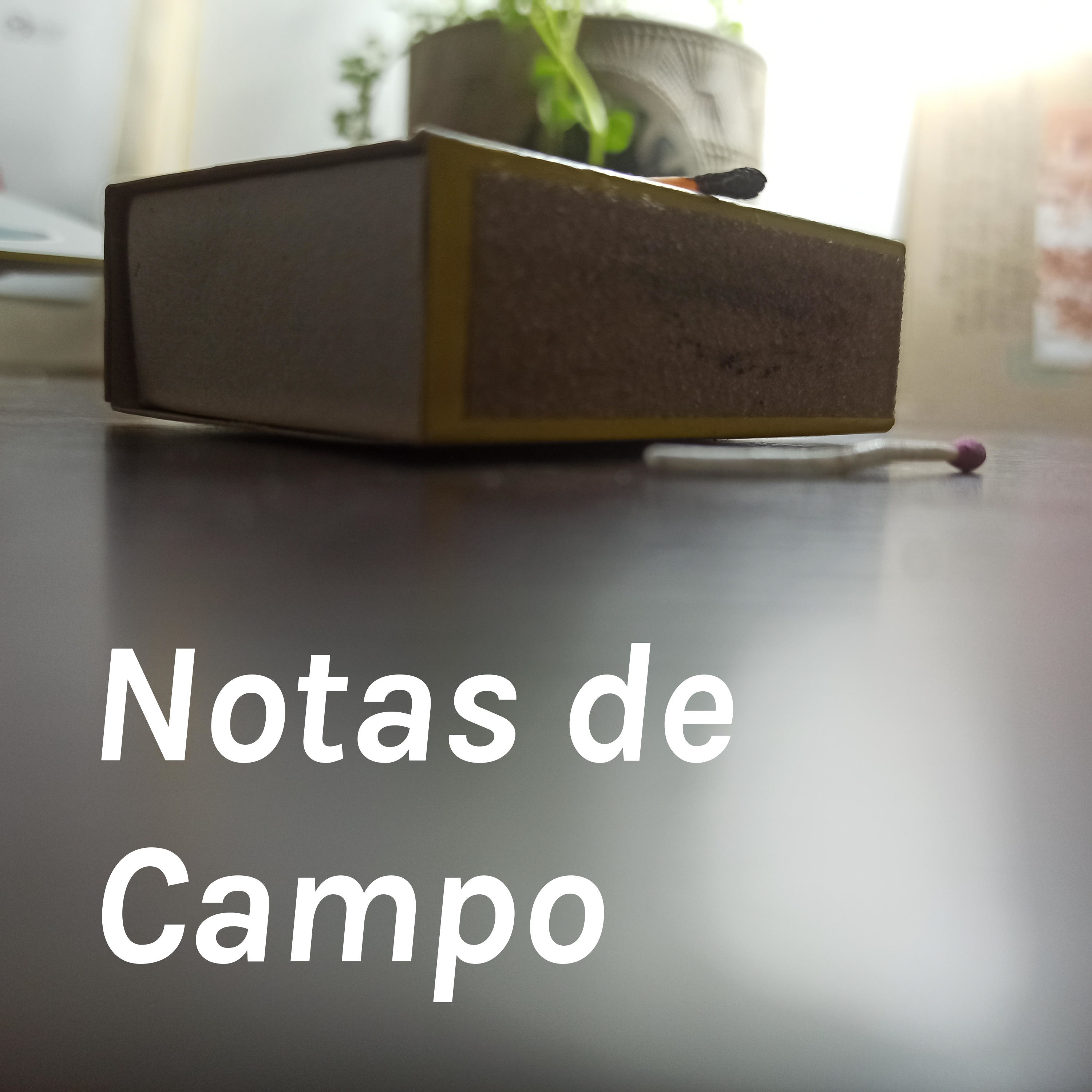 Notas de Campo