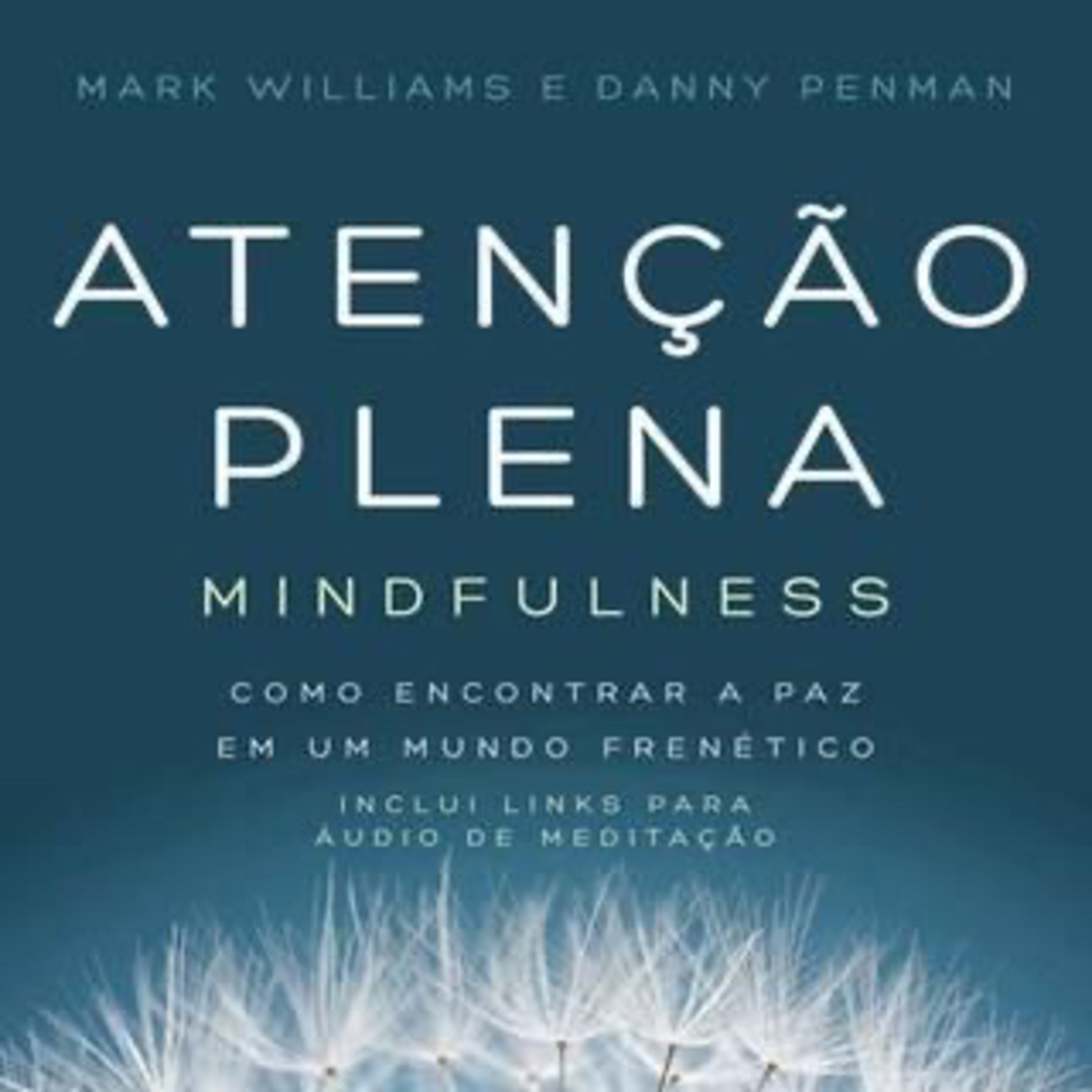 Meditação Mindfulness 