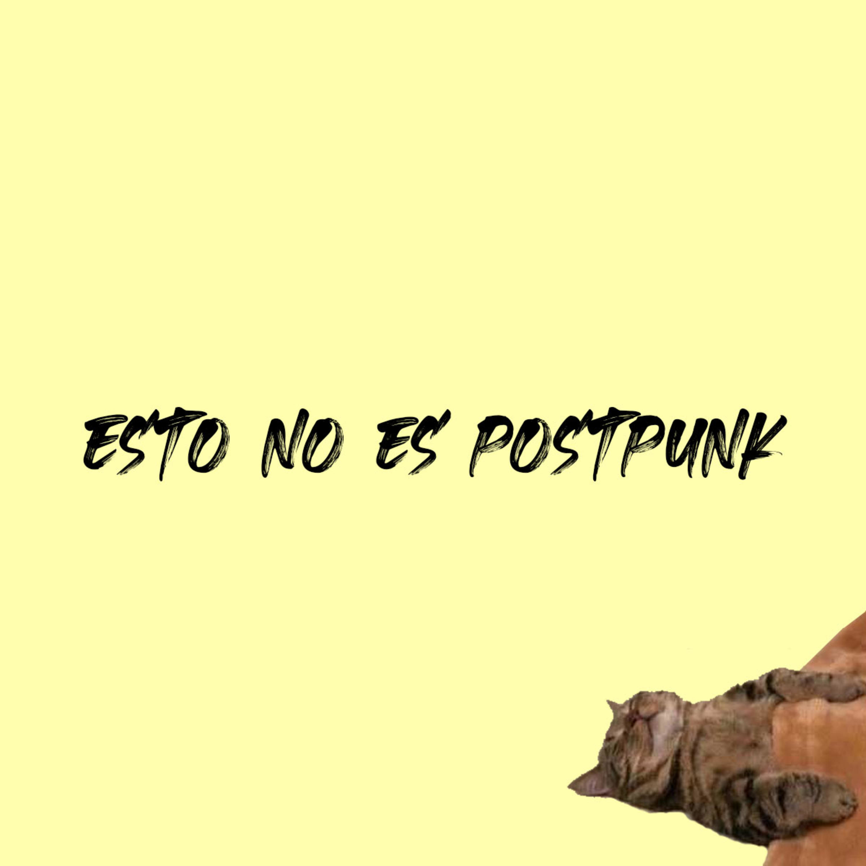 Nos miramos los ombligos