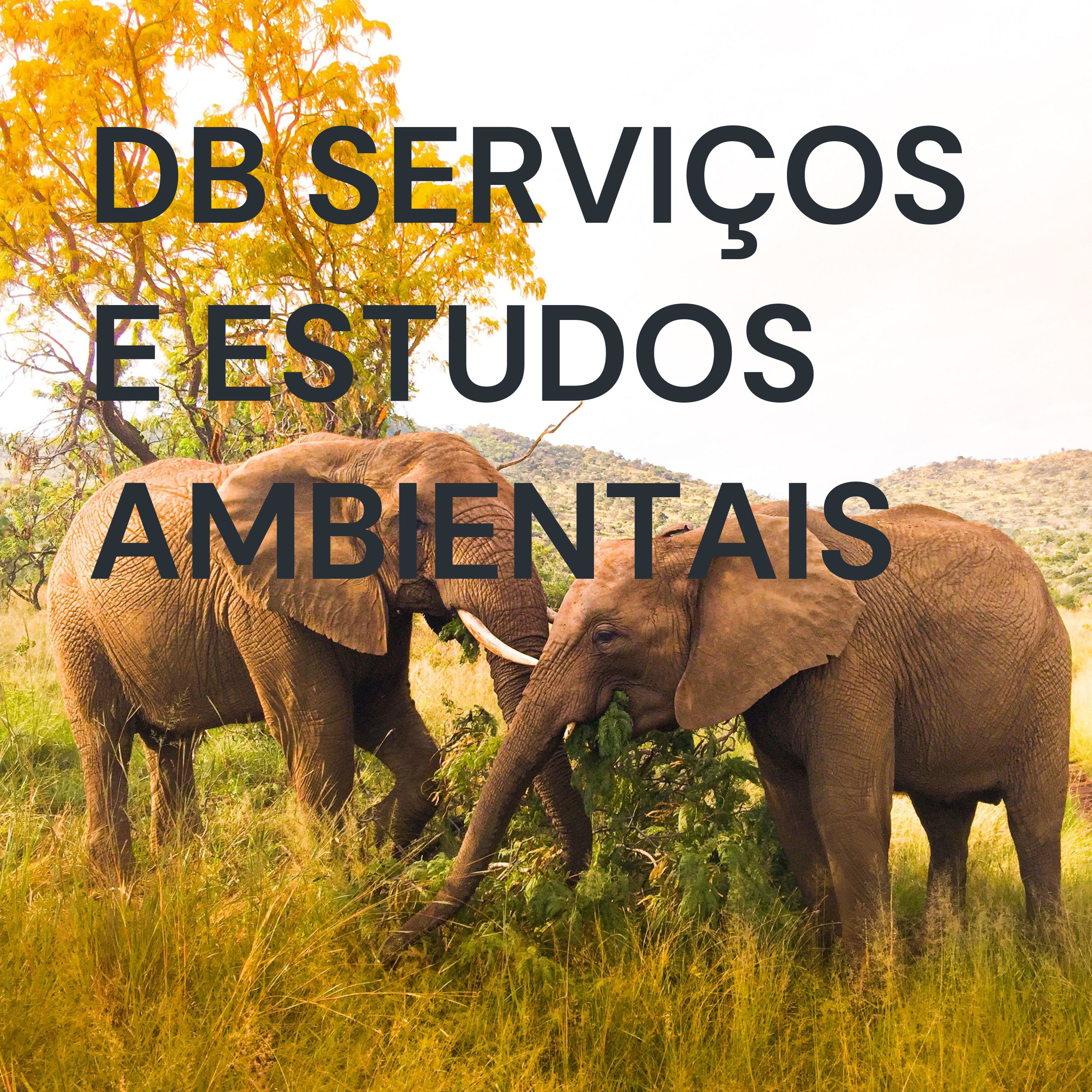 DB SERVIÇOS E ESTUDOS AMBIENTAIS