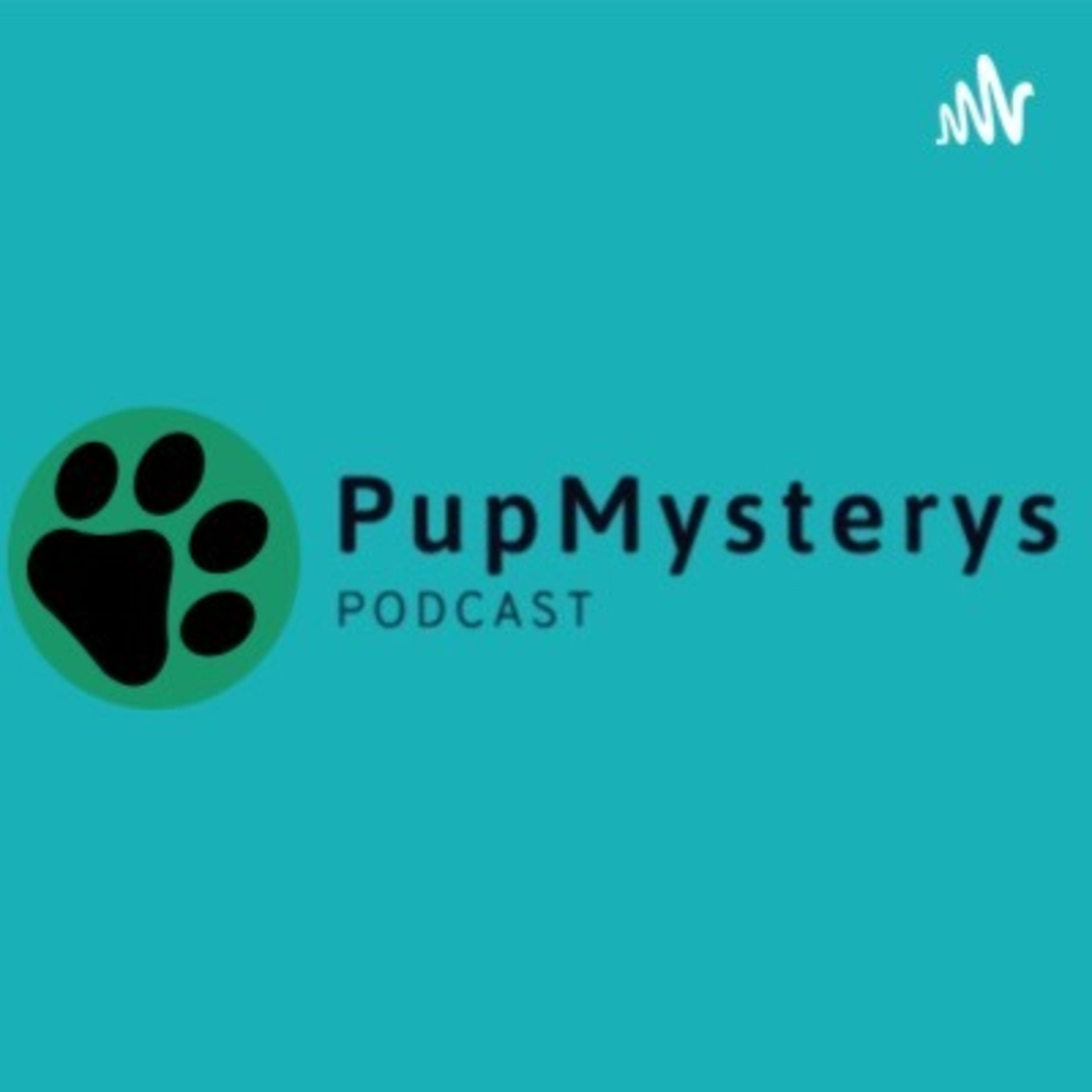 Pup Mysterys Pup Mysterys