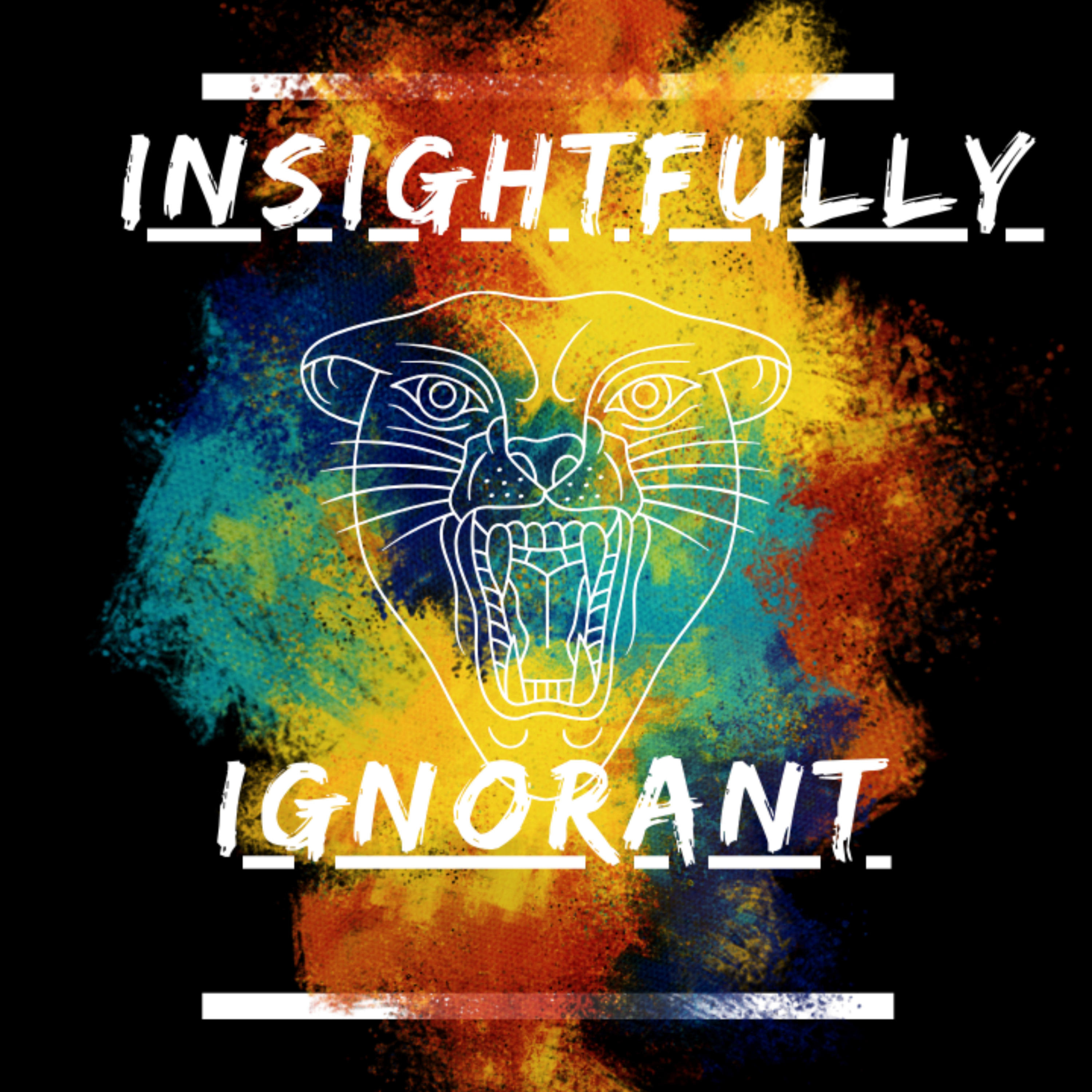 Insightfully Ignorant Podcast