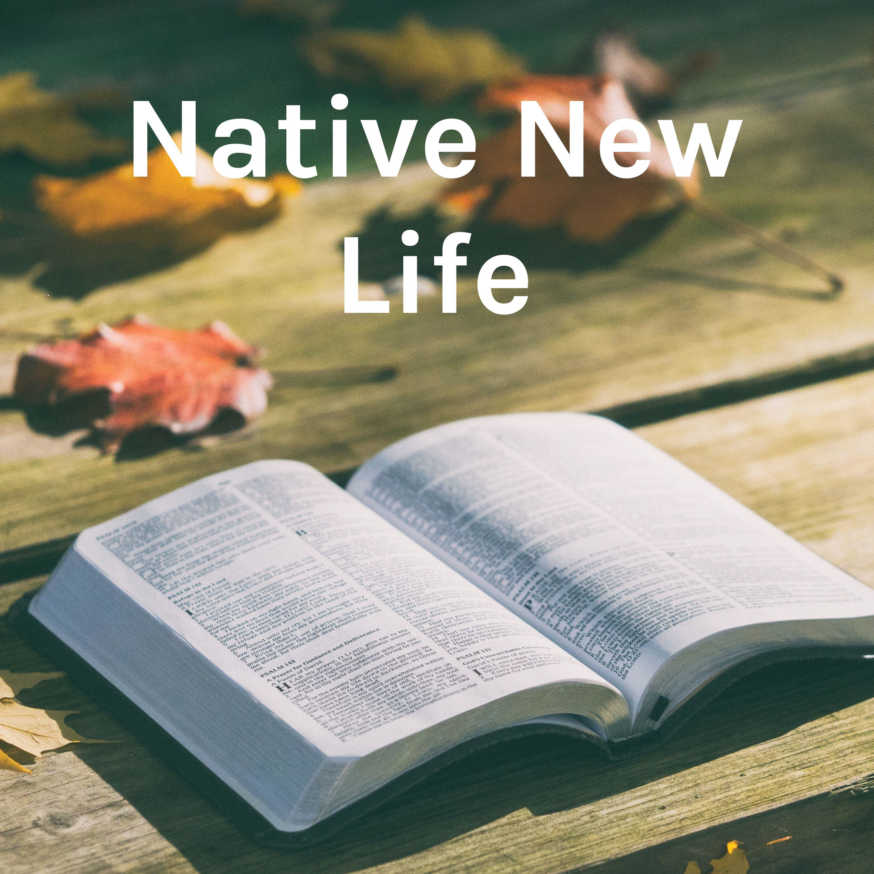 Native New Life - Alaska