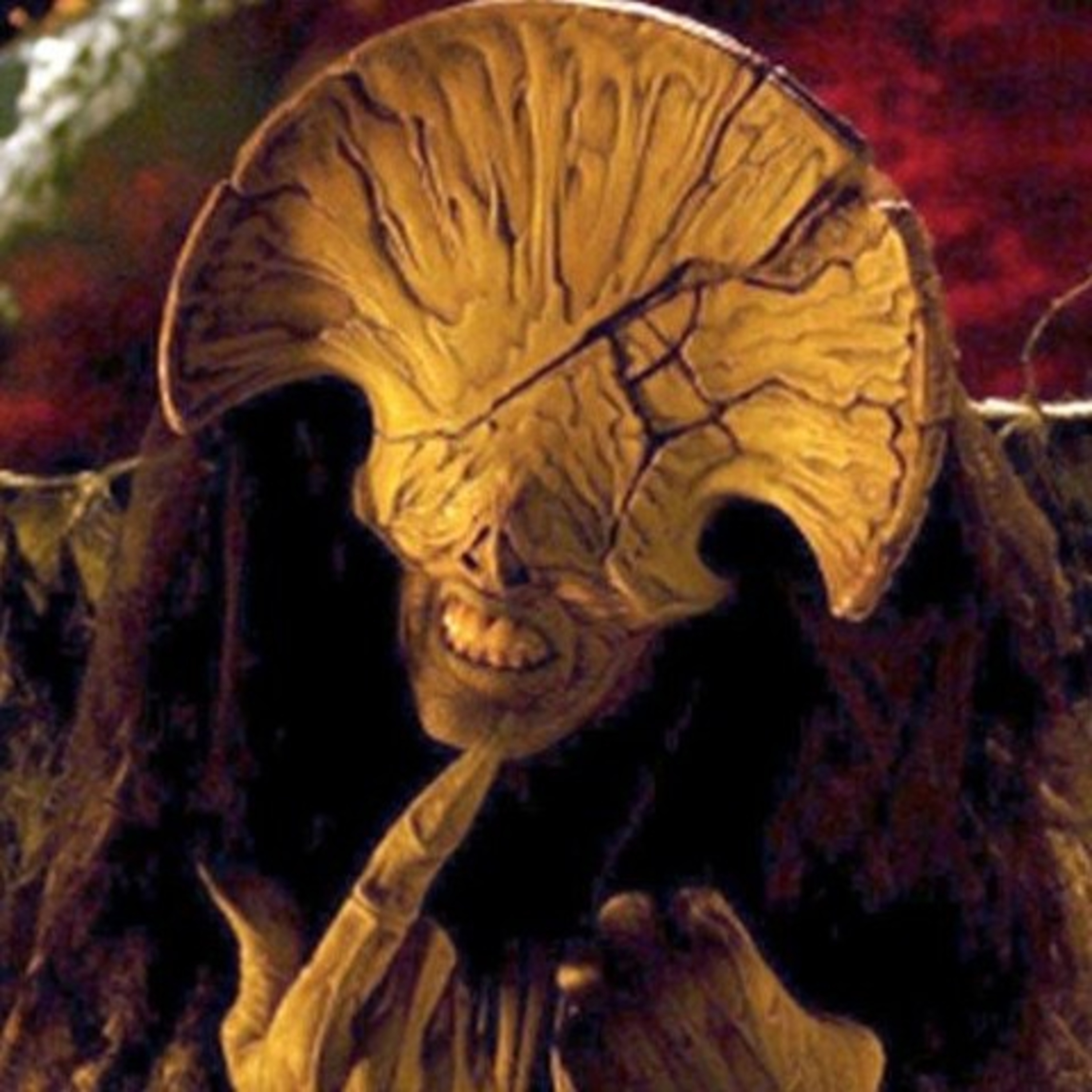 The Path Of DelToro 