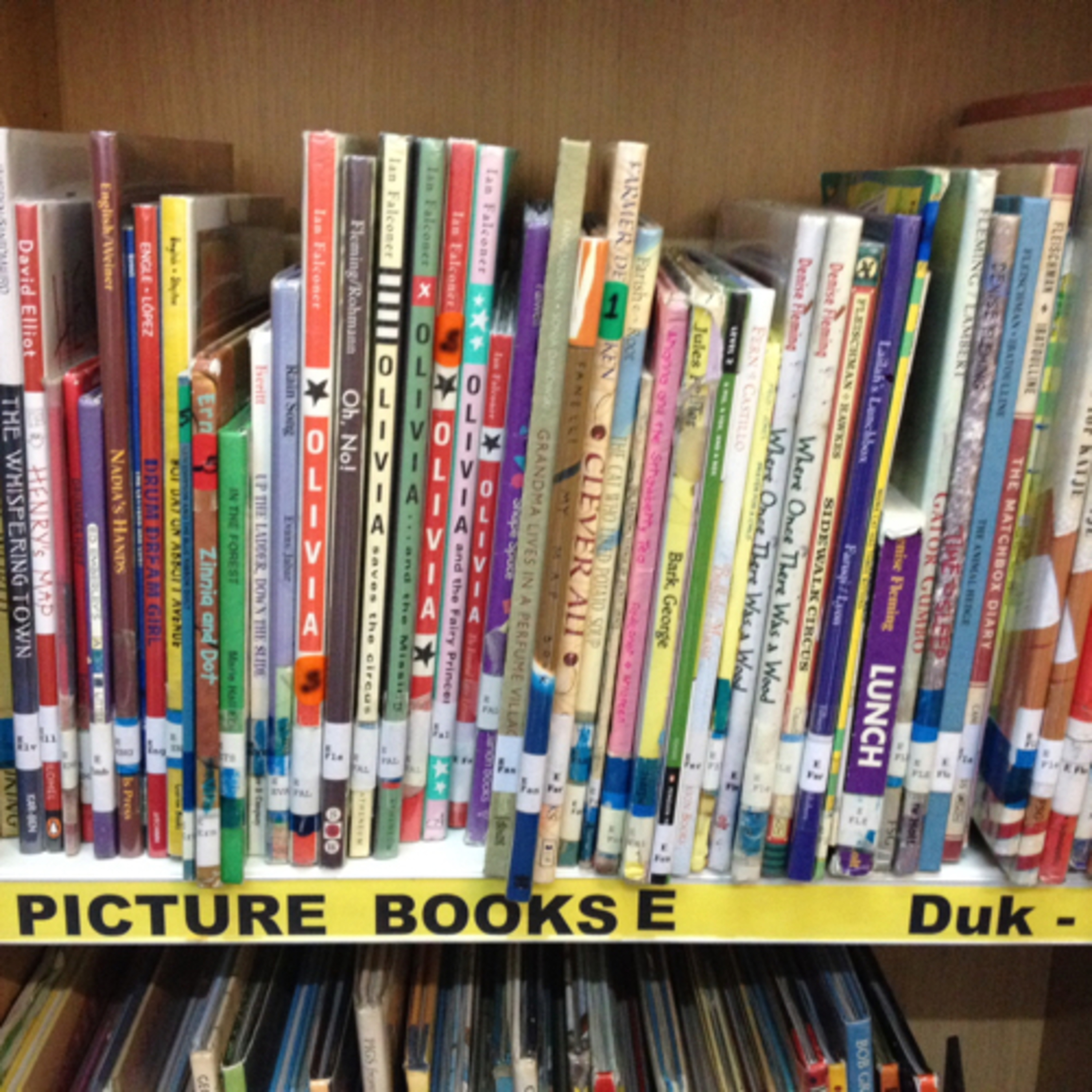 ES Library at BFIS