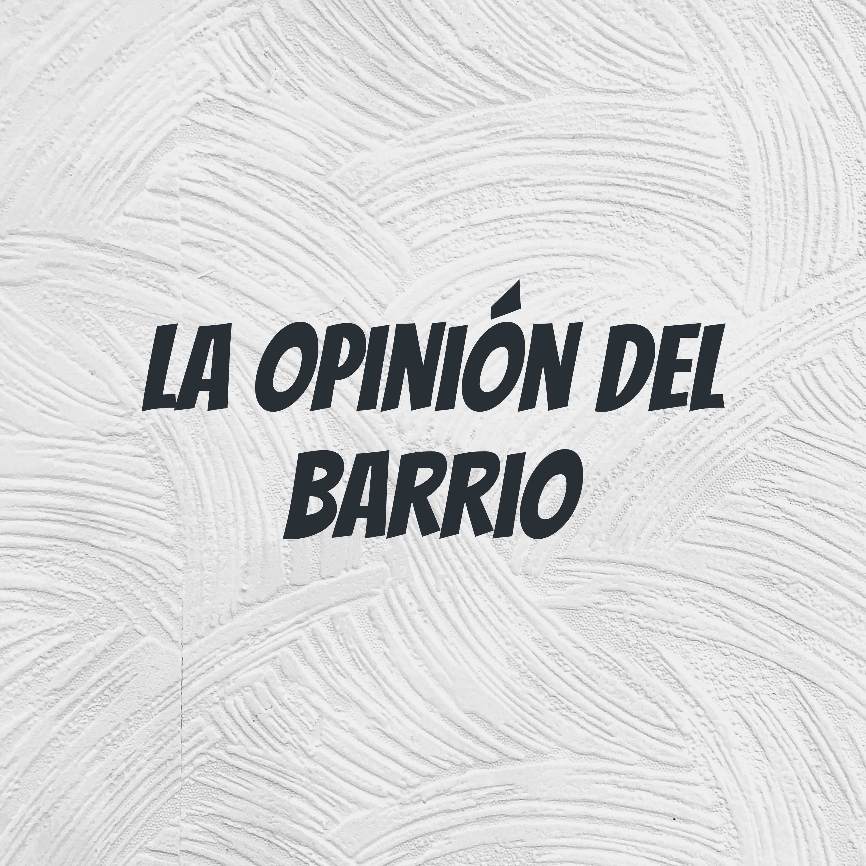 La Opinión Del Barrio