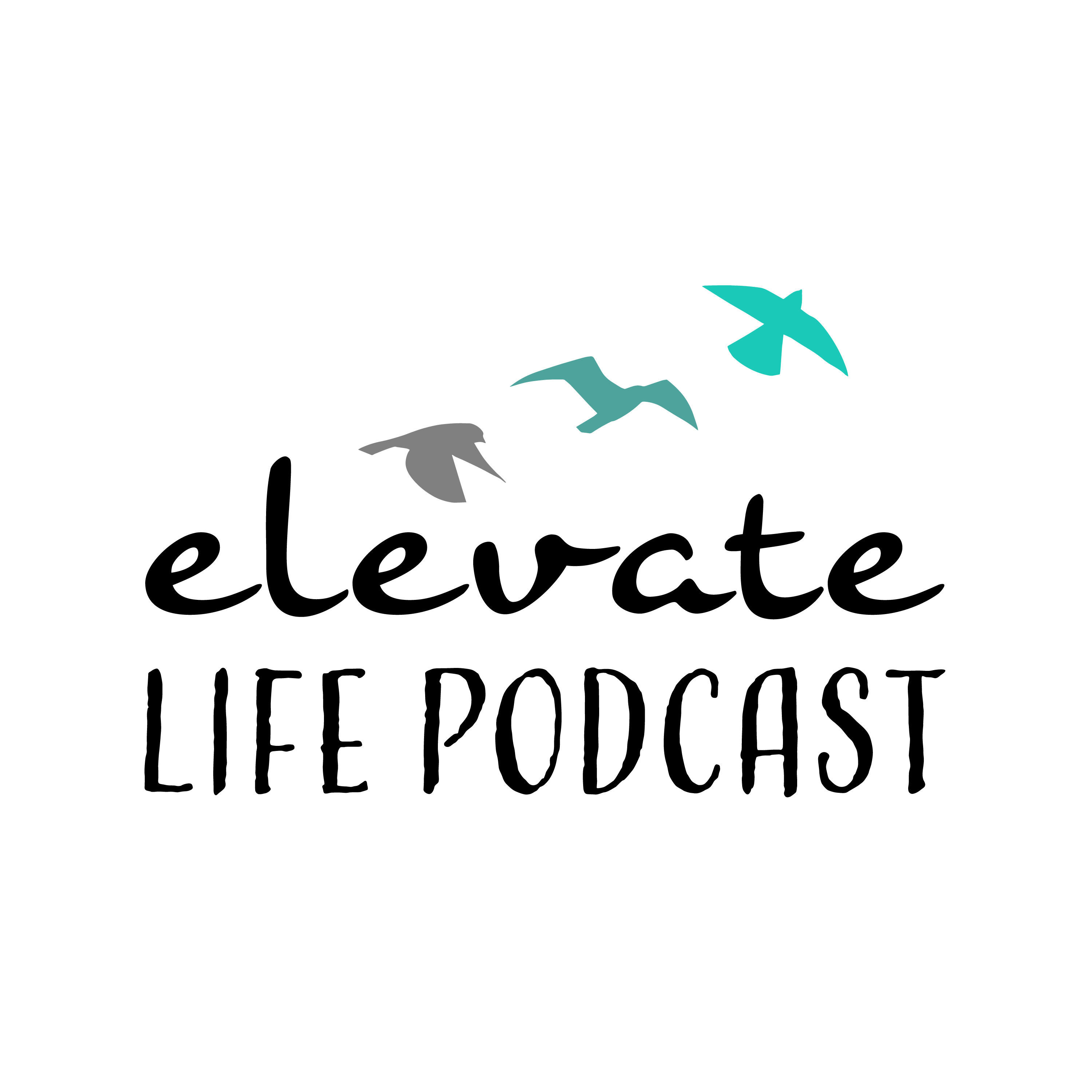 Elevate Life with Angie