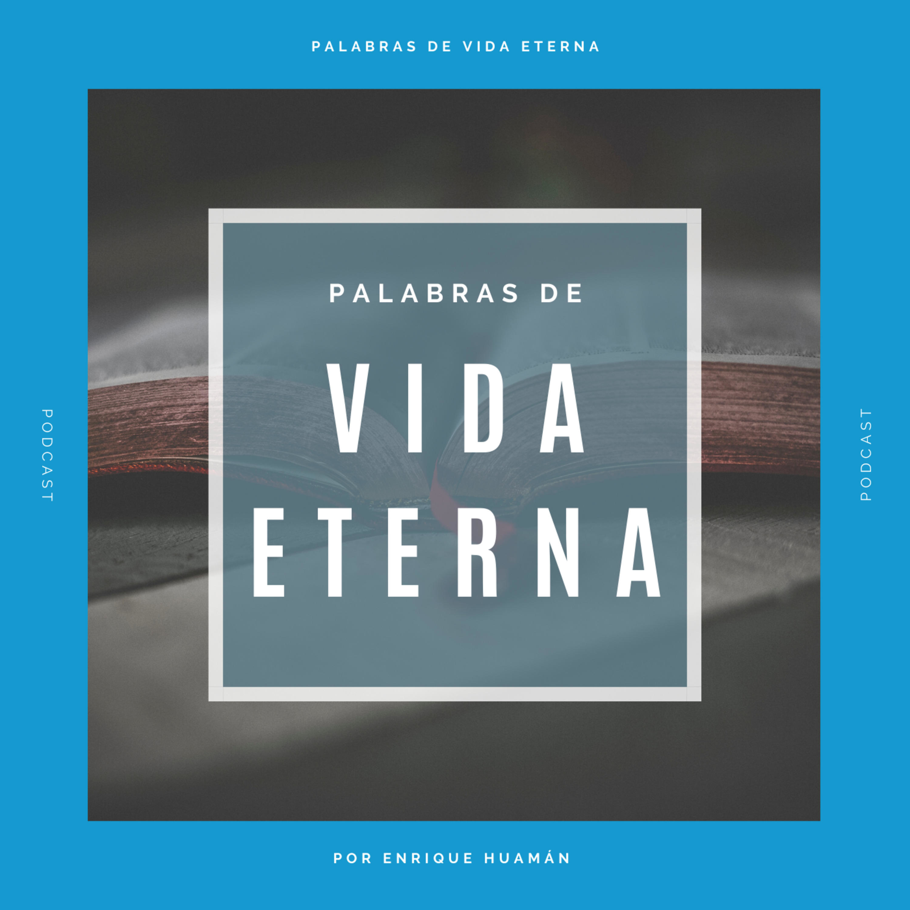 Palabras de Vida Eterna