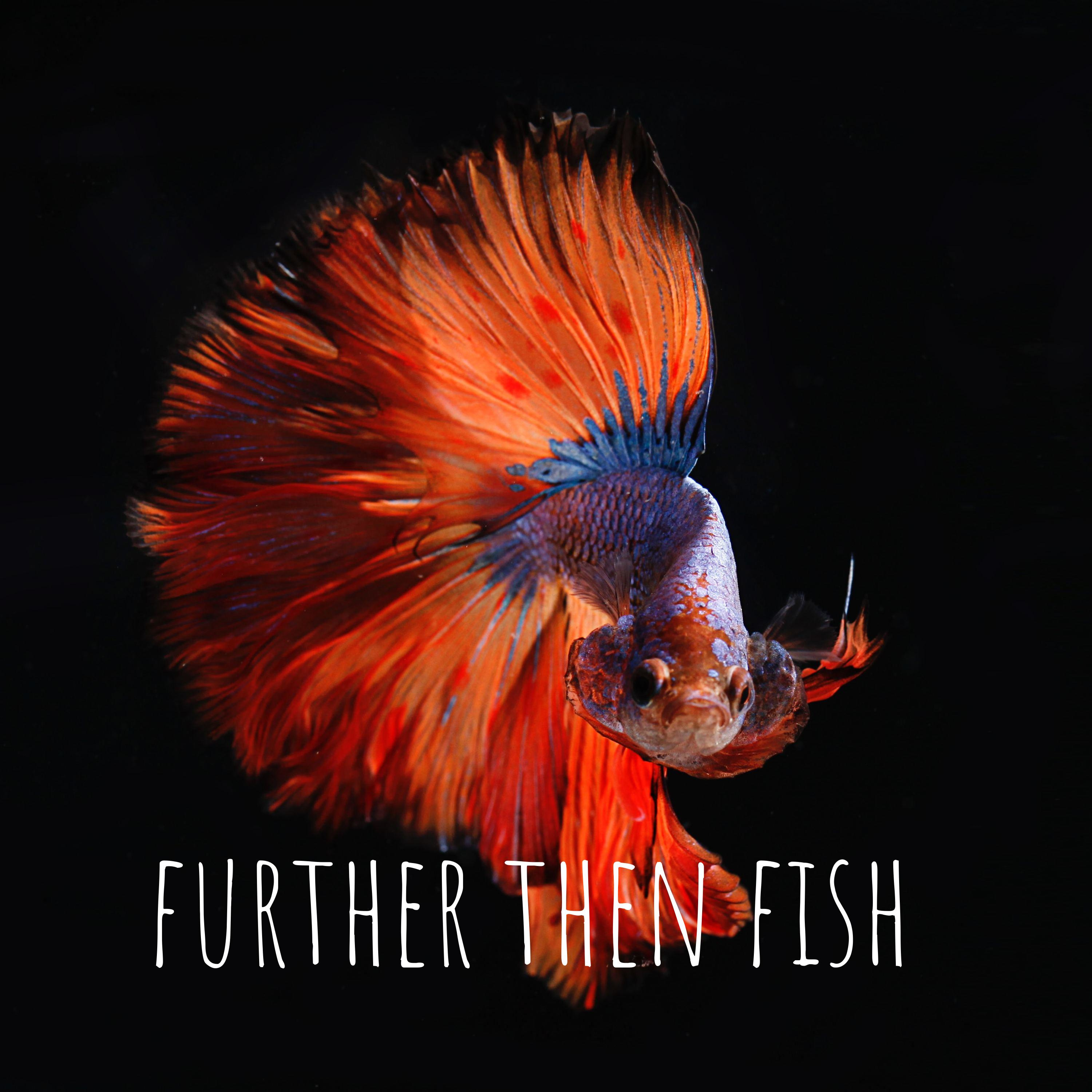  further than fish season 2 is here! episode artwork