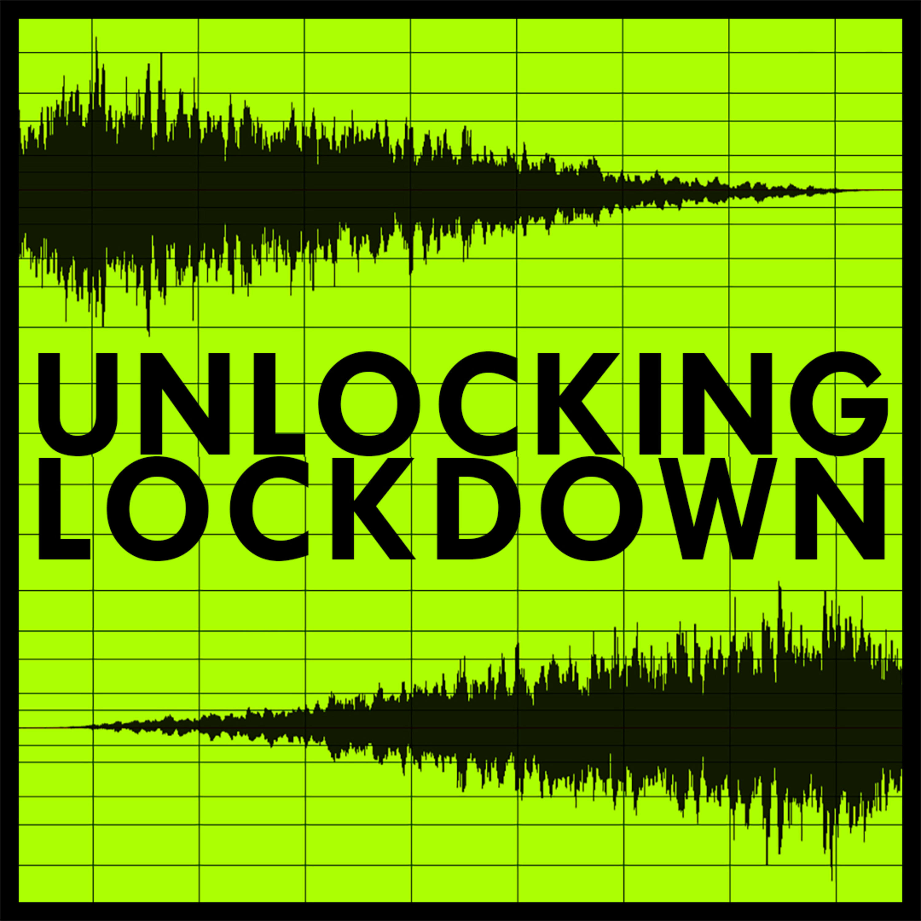 Unlocking Lockdown: Doing Fieldwork in a Pandemic