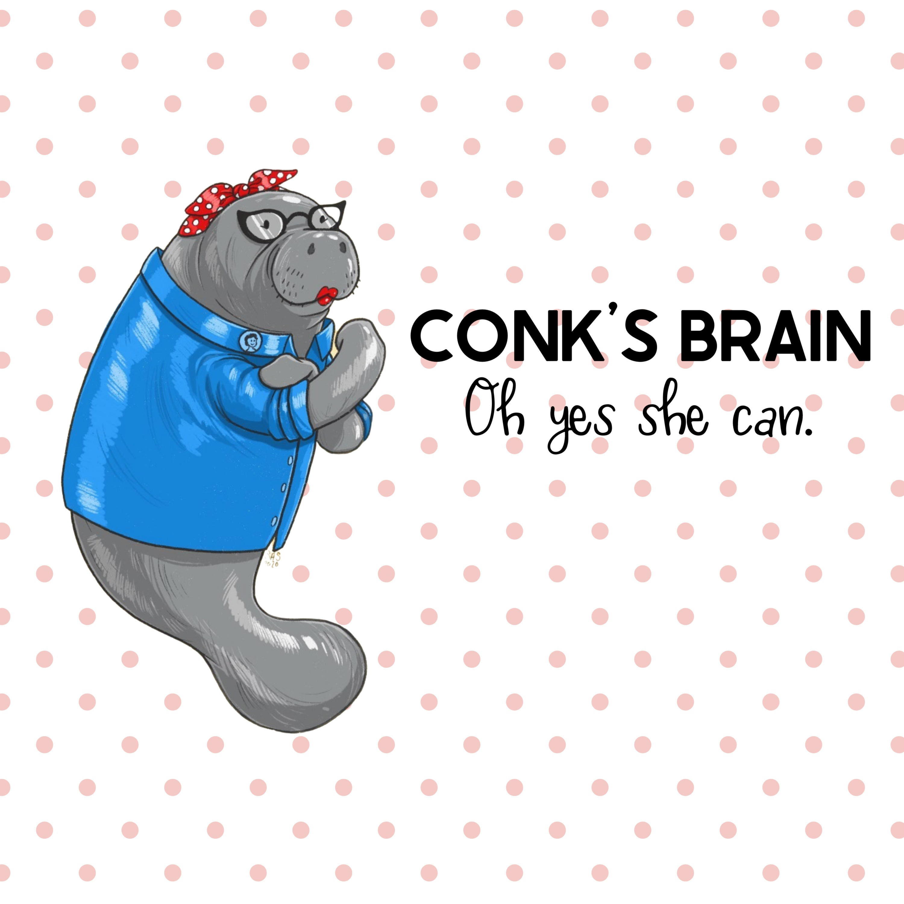 Conk\'s Brain