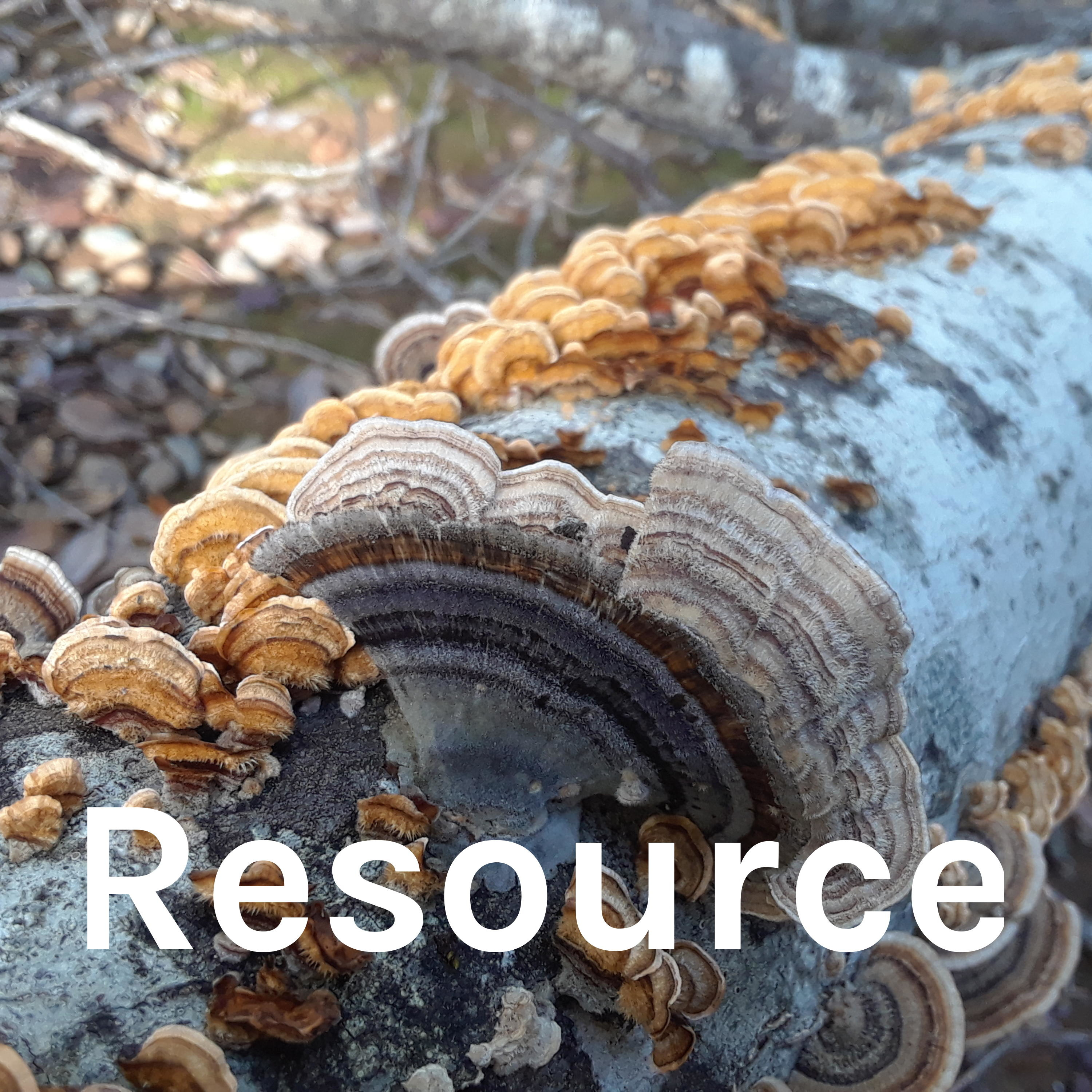 Resource podcast artwork
