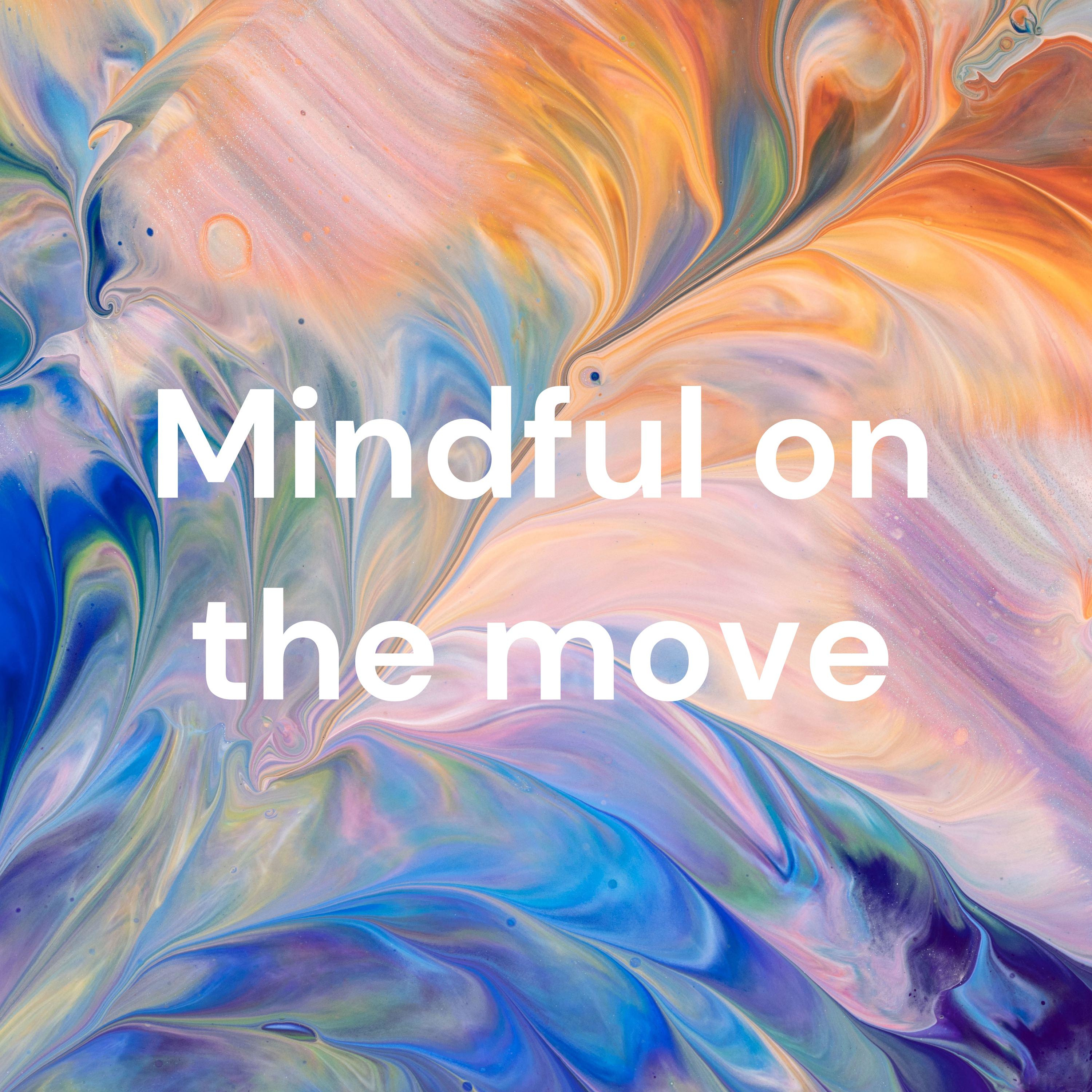 Mindful On The Move
