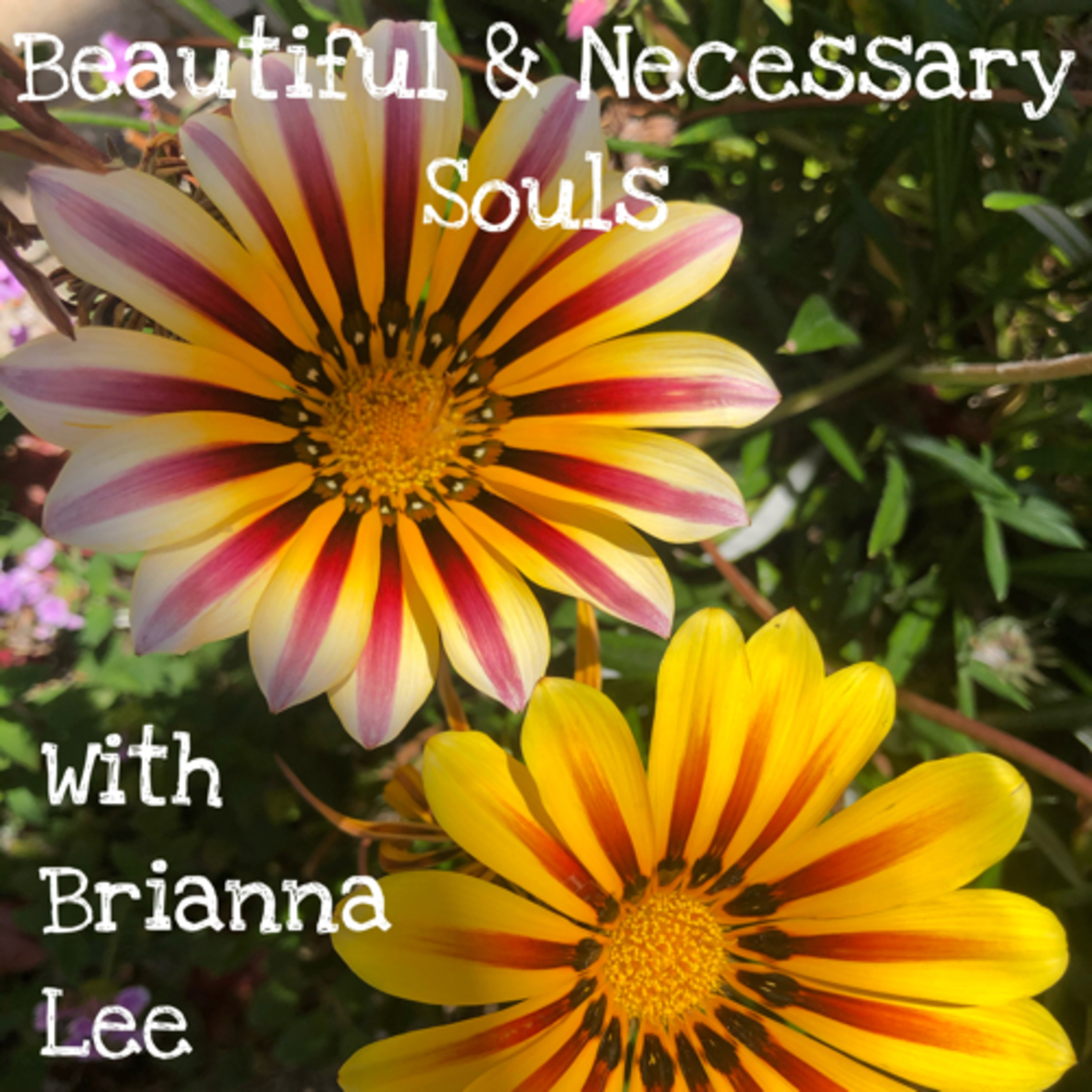 Beautiful & Necessary Souls with Brianna Lee