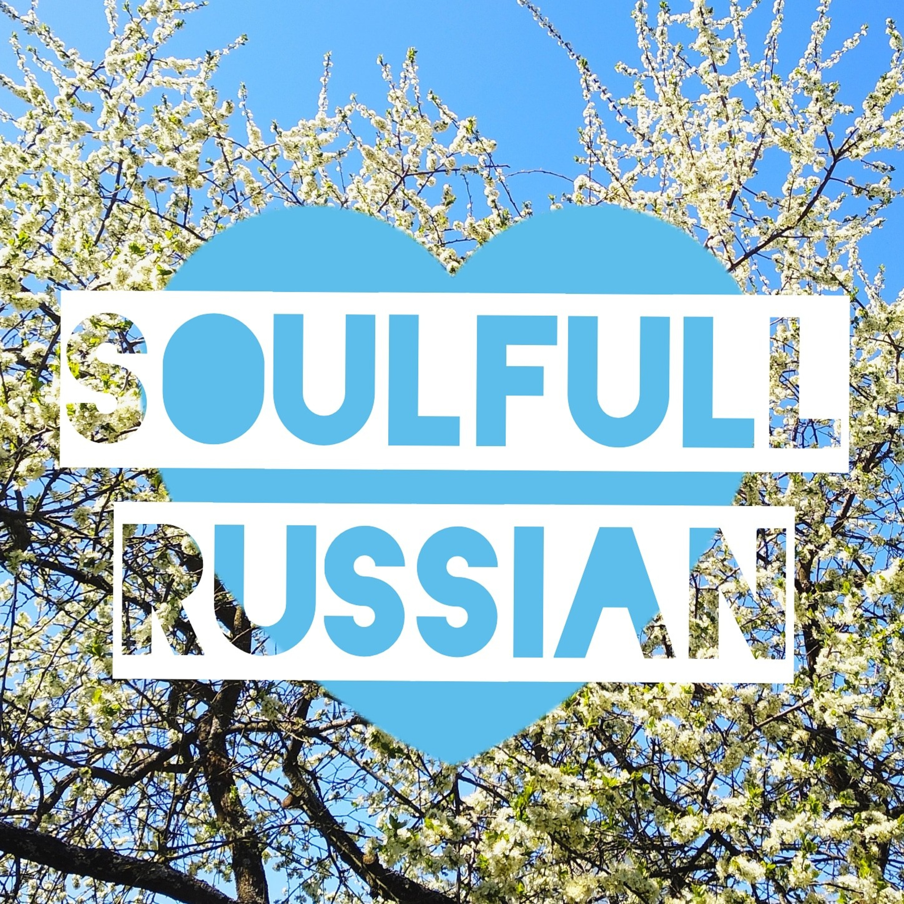 Soulfull Russian