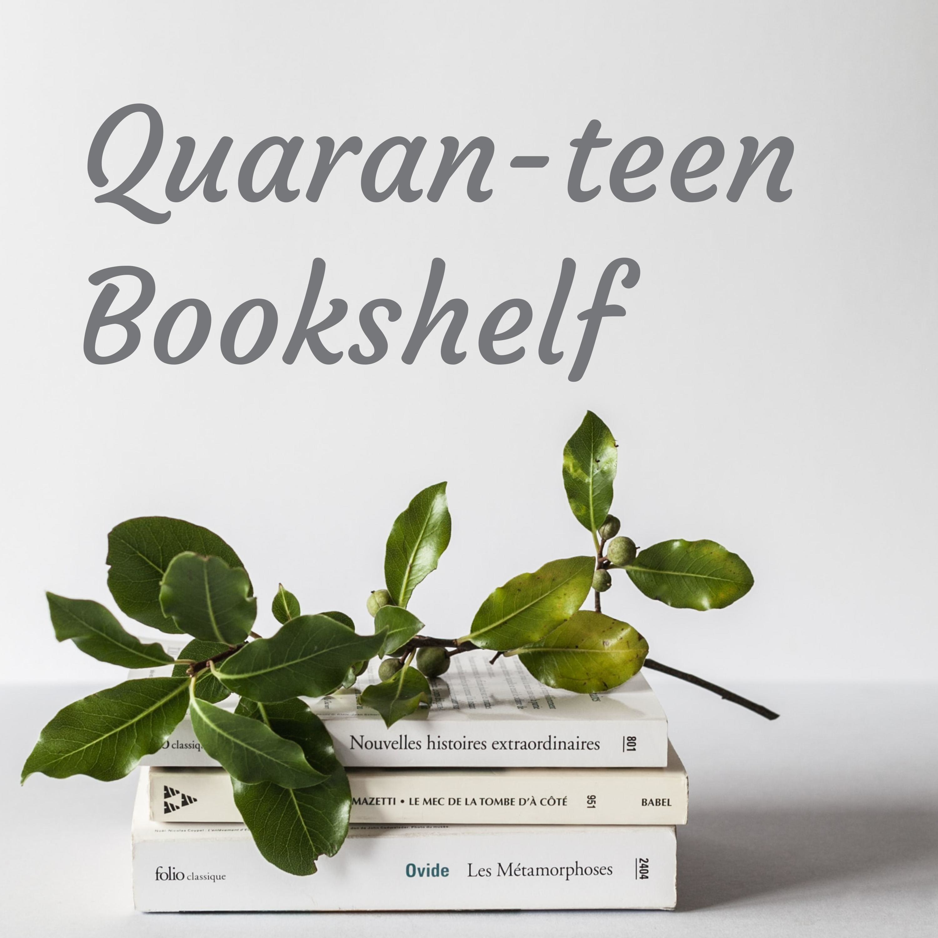 Quaran-teen Bookshelf