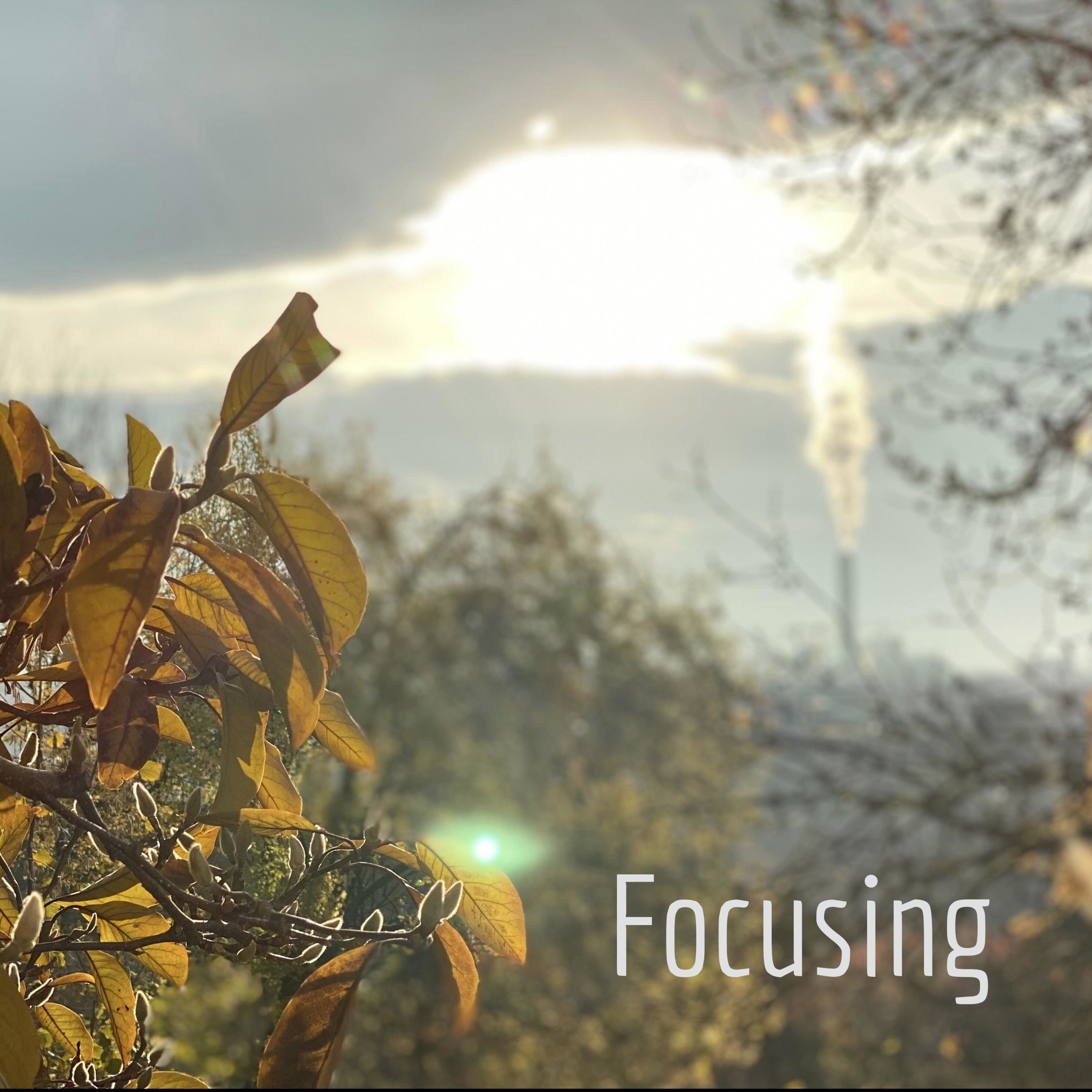 Focusing - Werkzeug für Dich