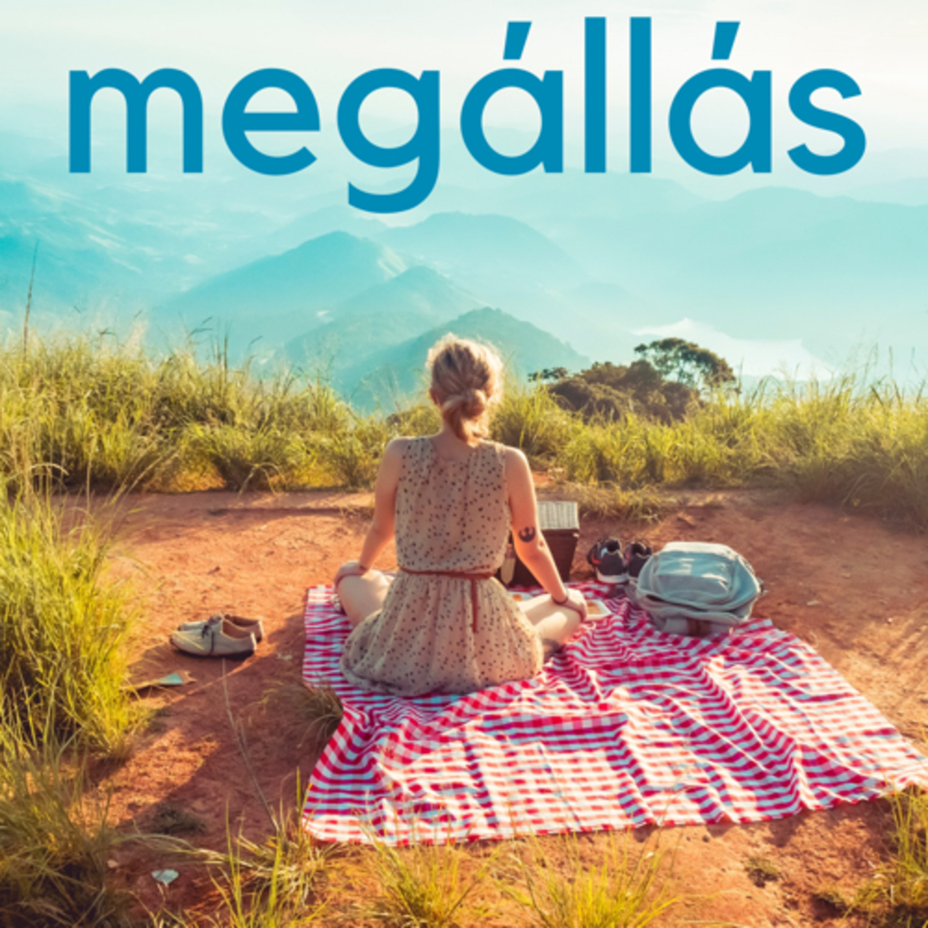 Megállás