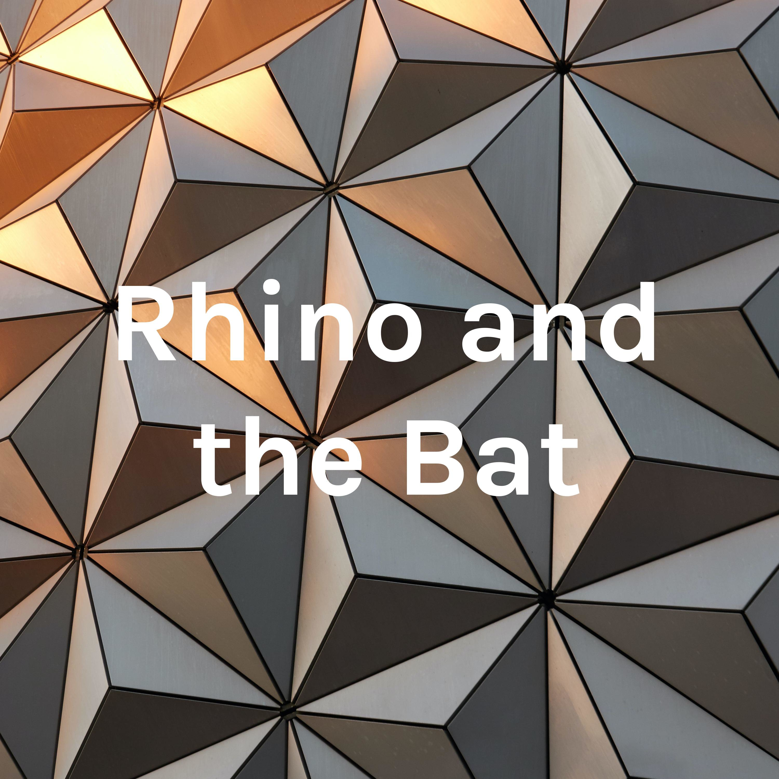 Rhino and the Bat