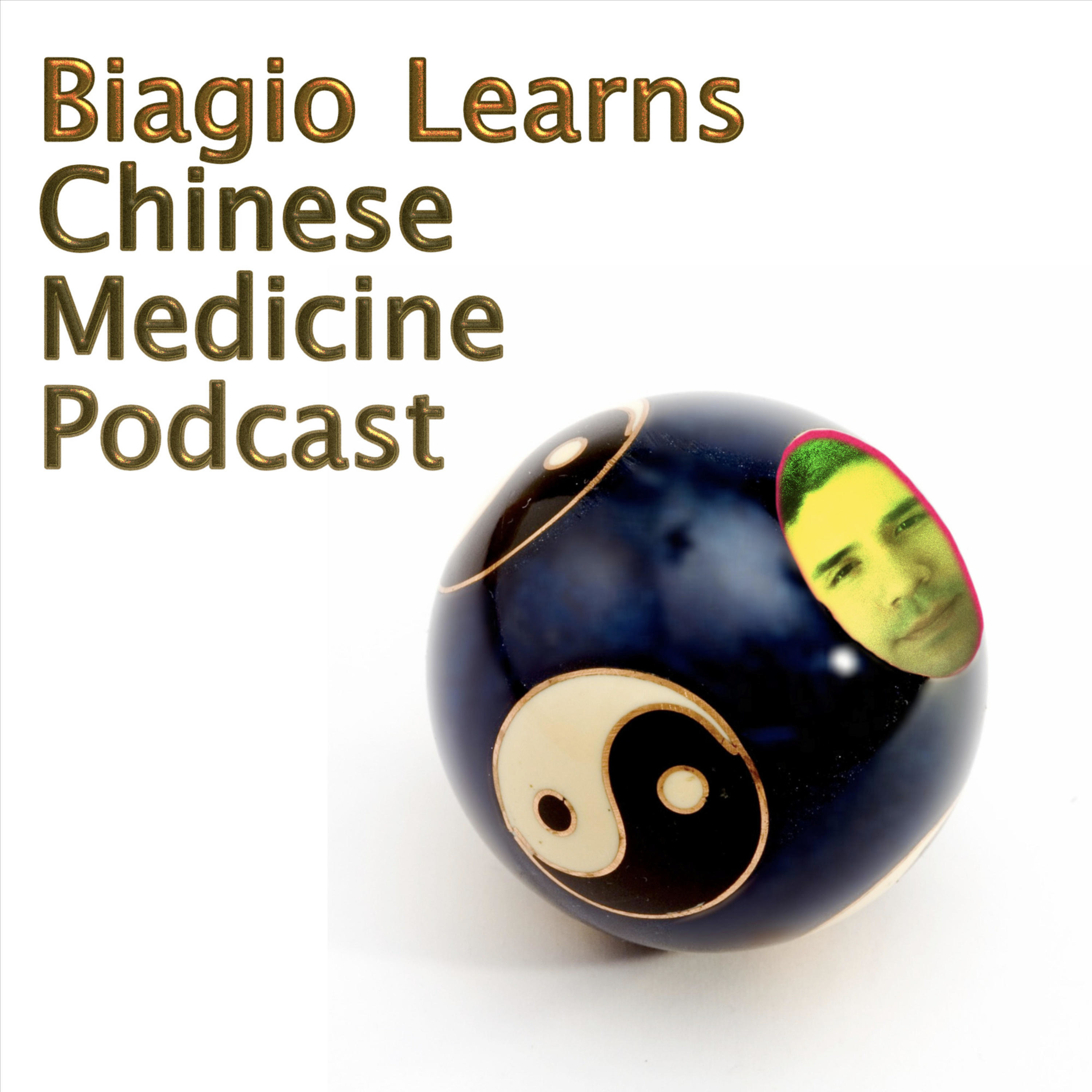 Biagio Learns Chinese Medicine (Biagio学中医） cover art