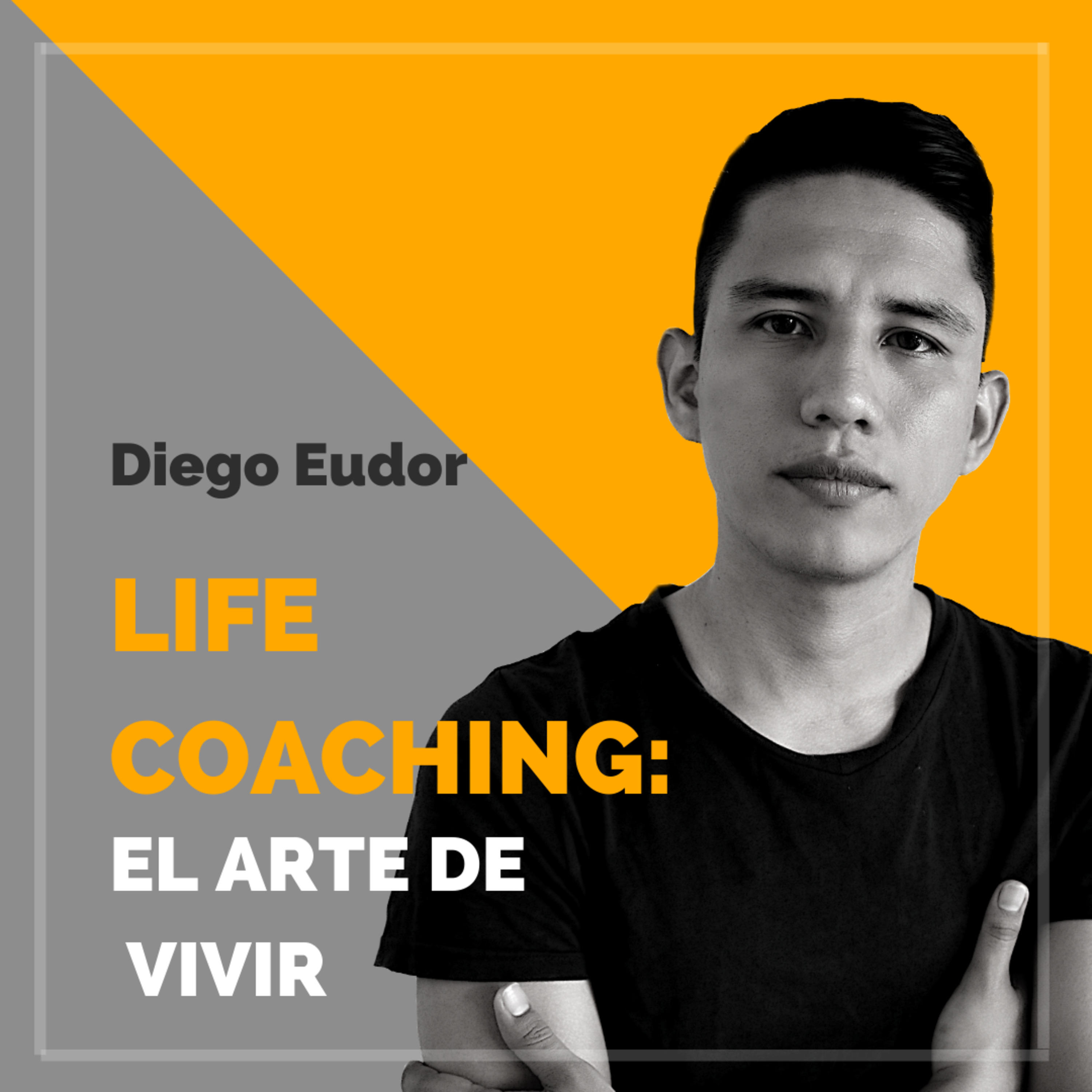 Life Coaching: El Arte De Vivir