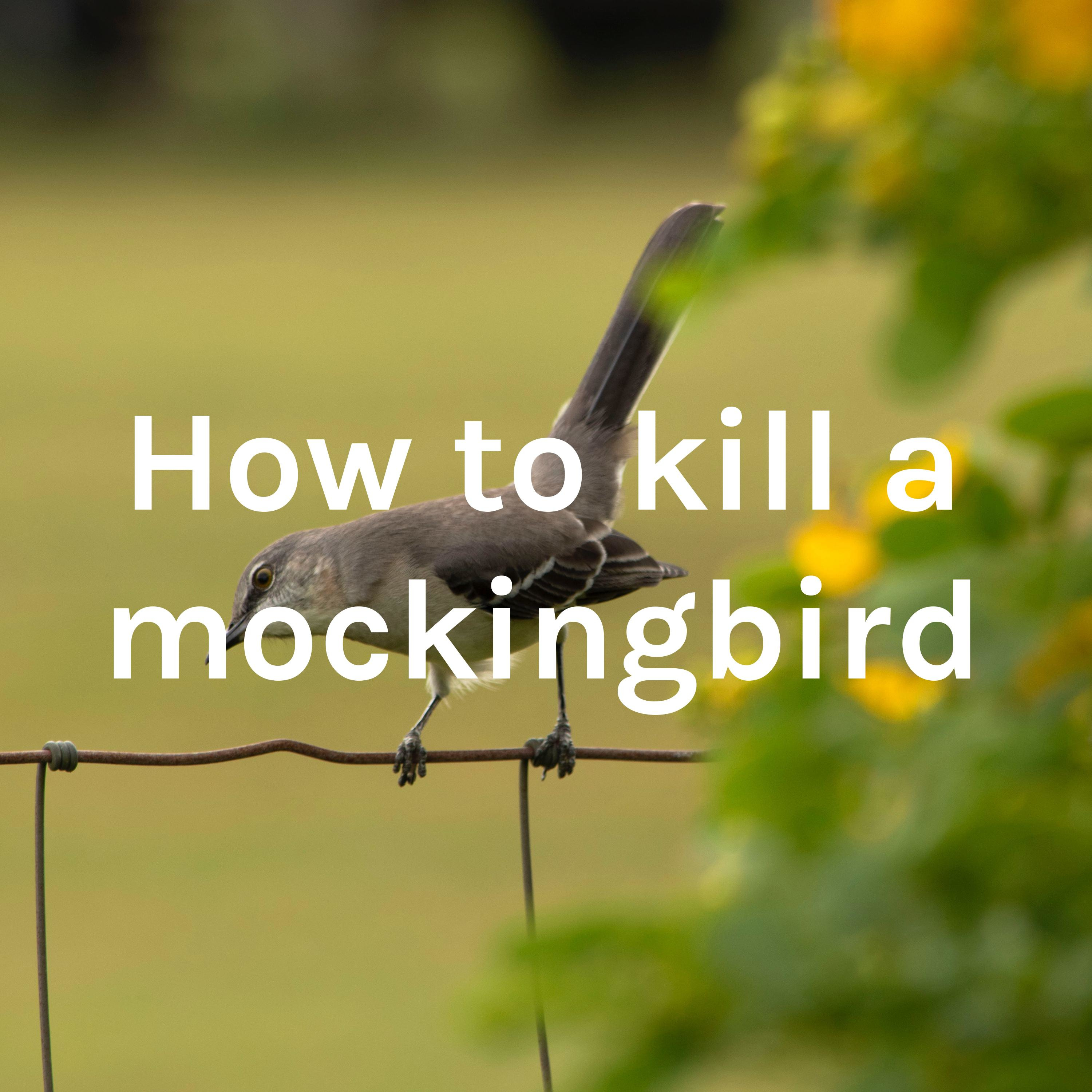 How to kill a mockingbird