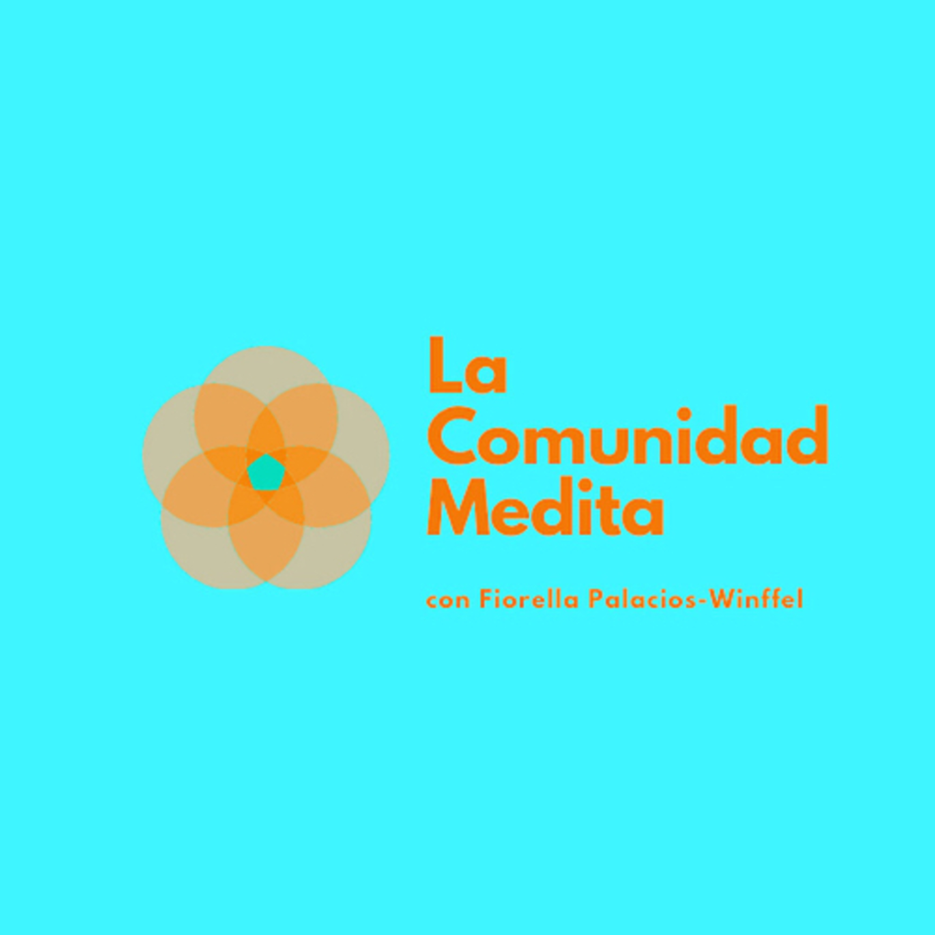 La Comunidad Medita