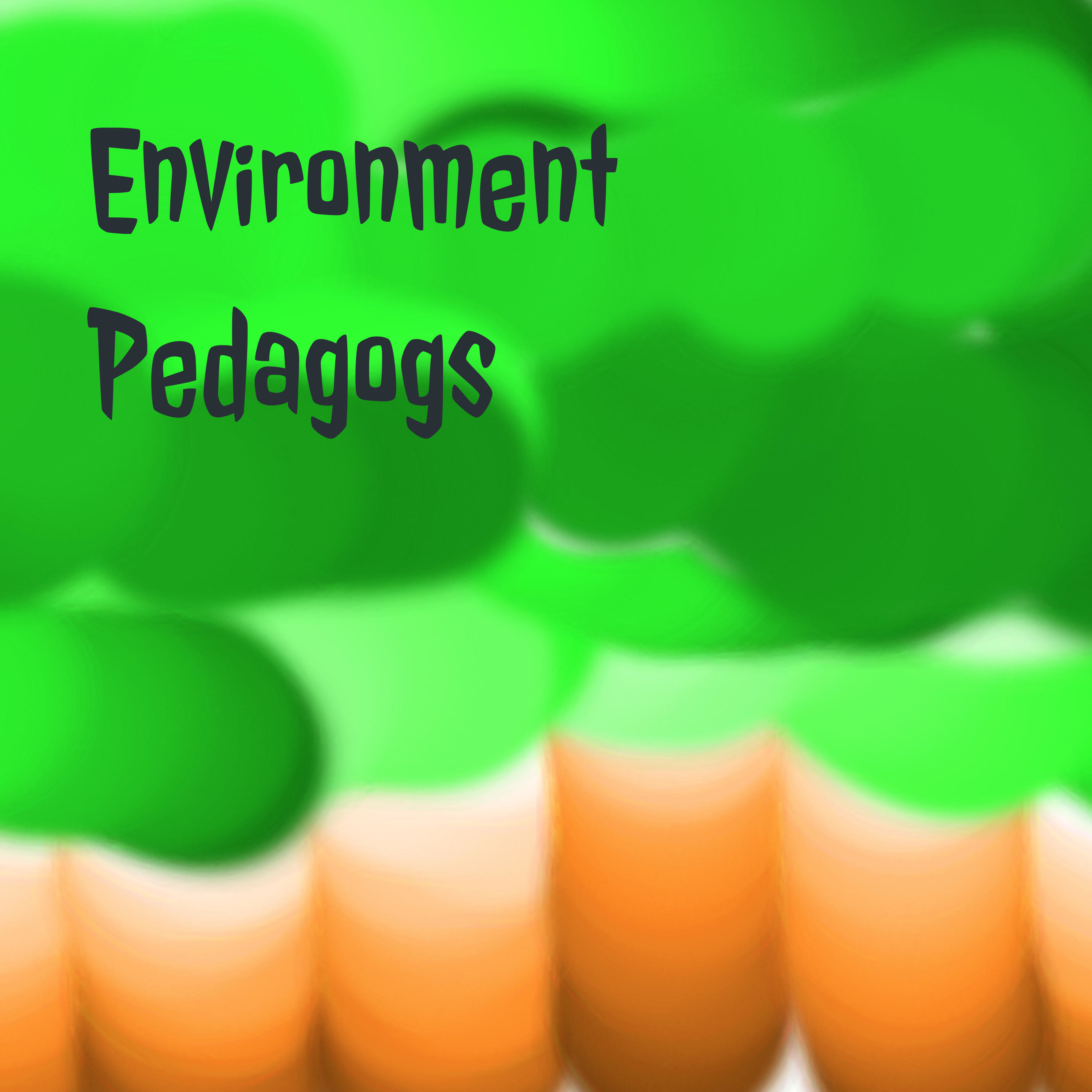 Environment Pedagogs