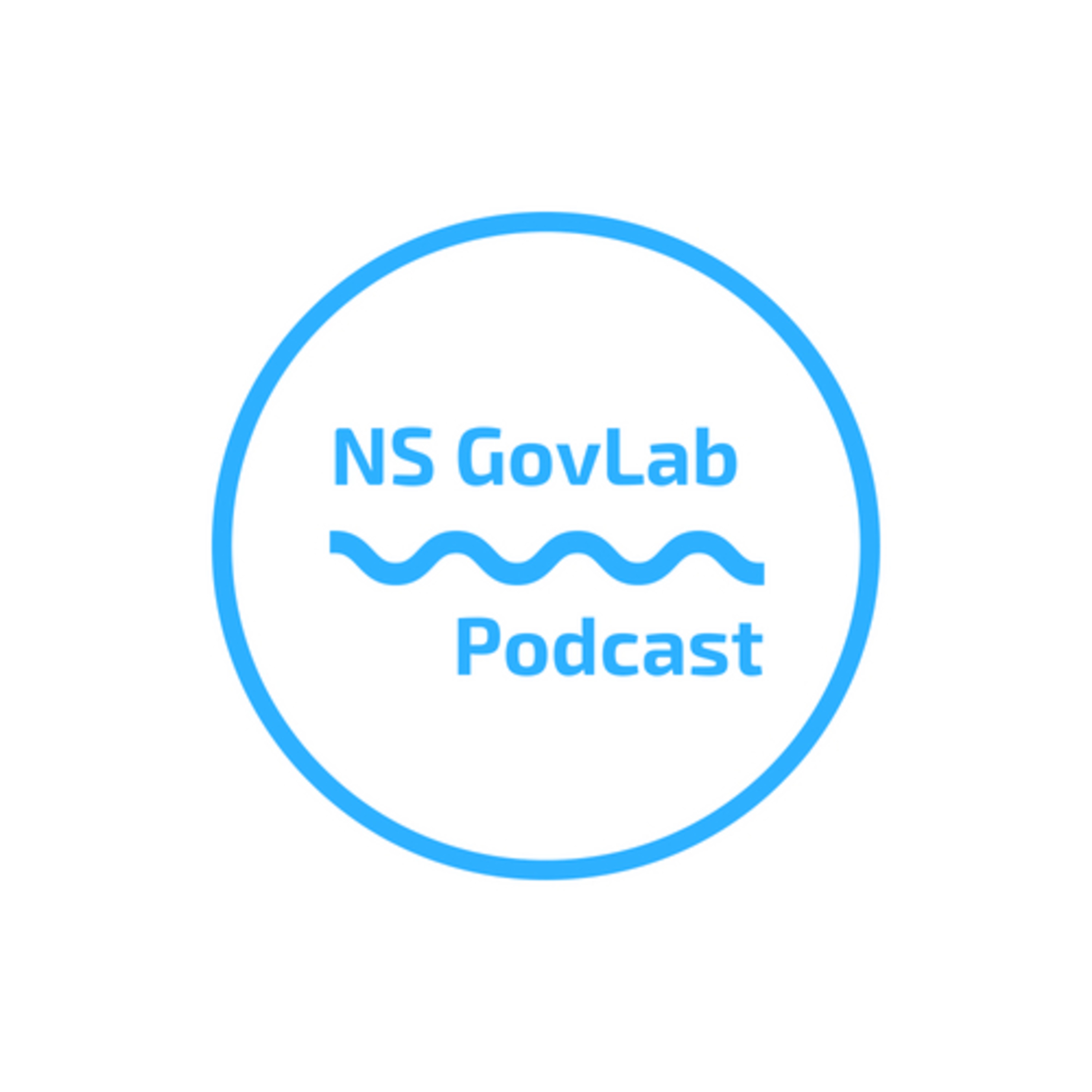 NS GovLab