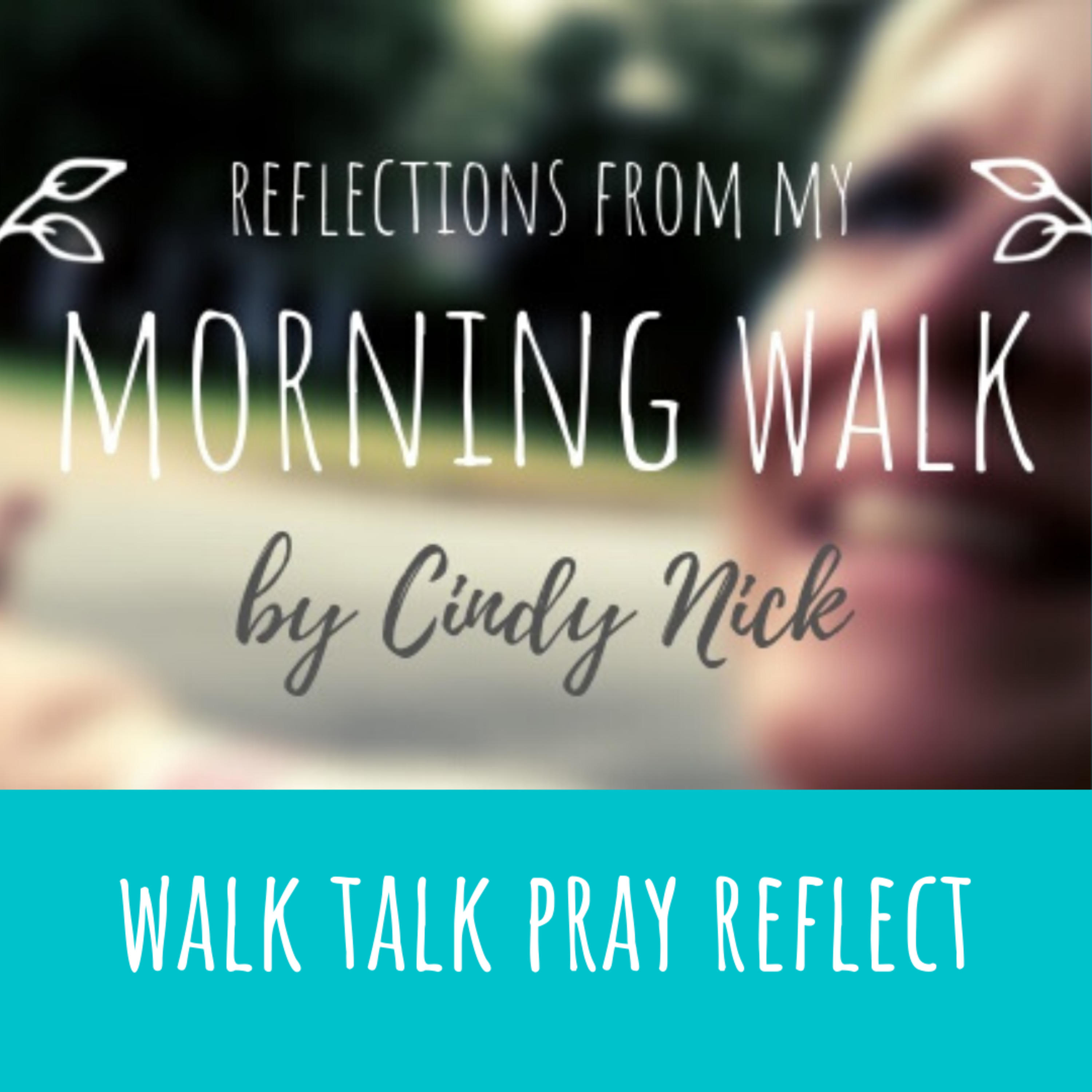 Reflections From My Morning Walk