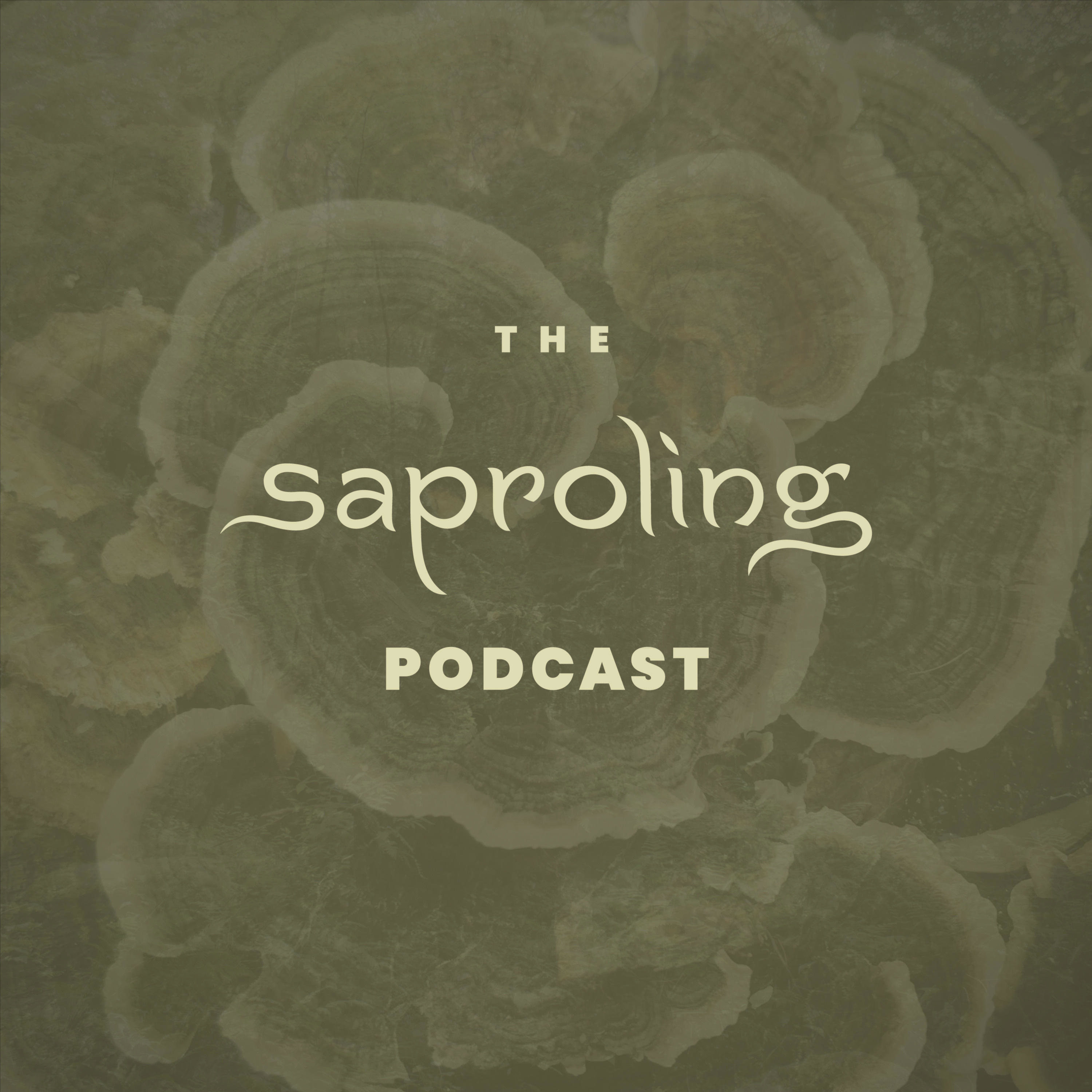 The Saproling Podcast podcast artwork