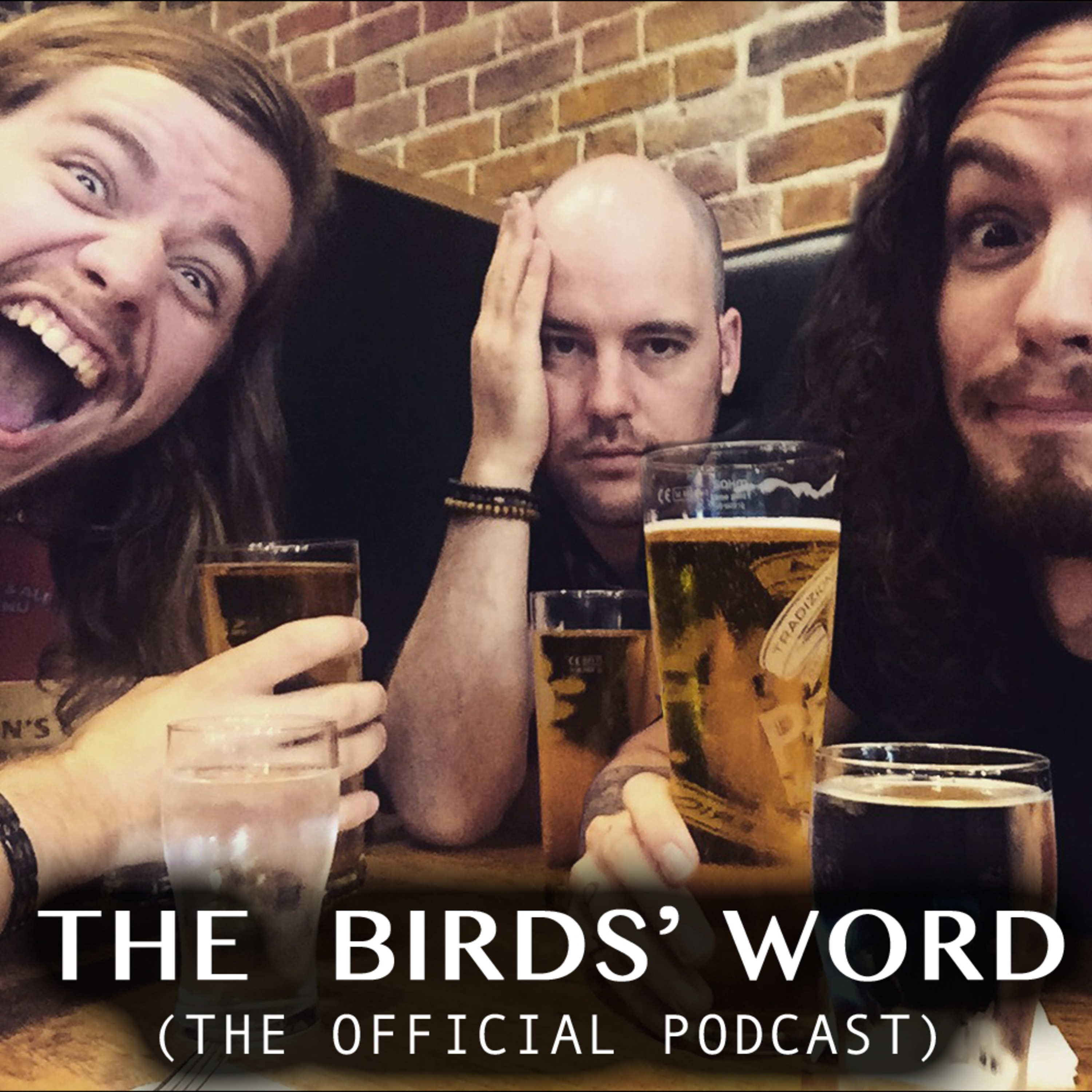 RavenEye - The Birds\' Word