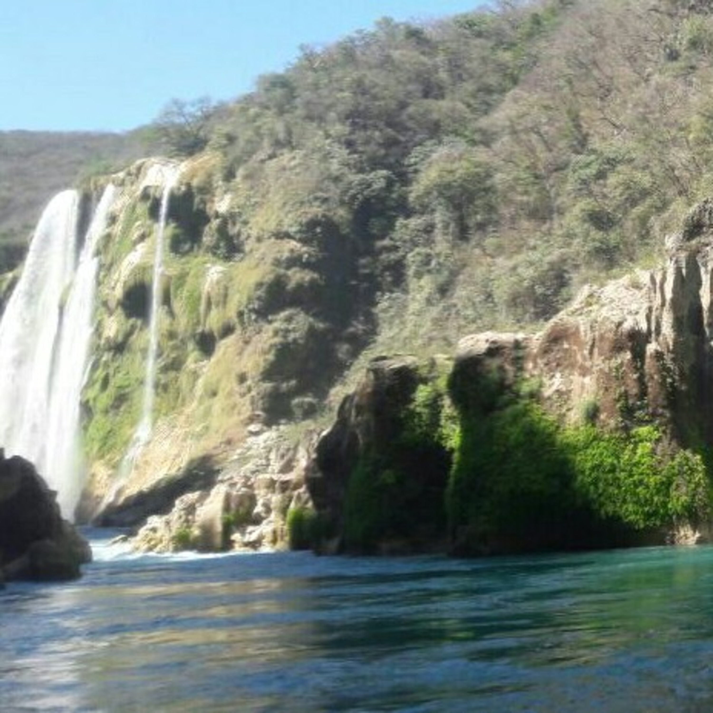 SOBREVIVIENDO A LA PANDEMIA