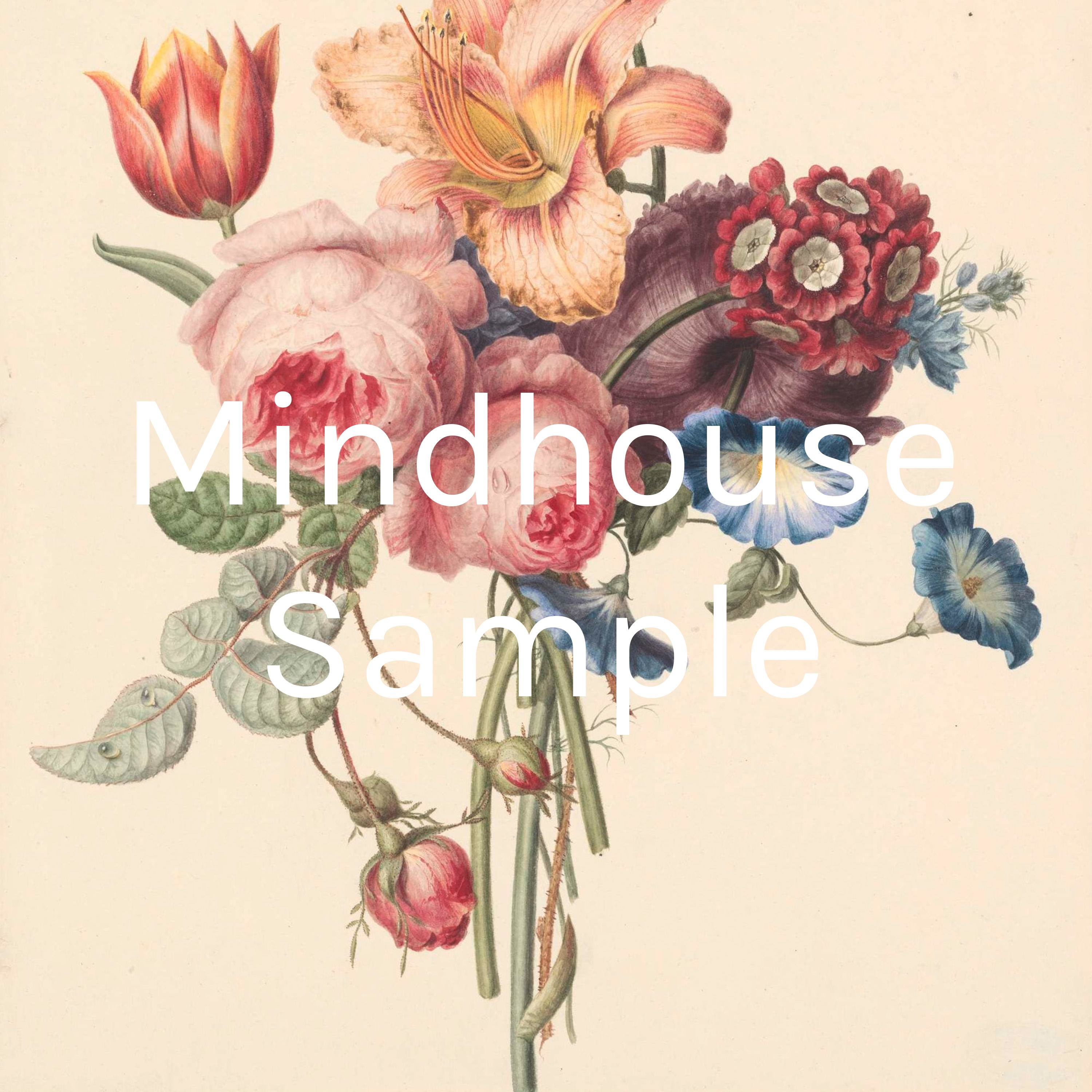 Mindhouse Sample