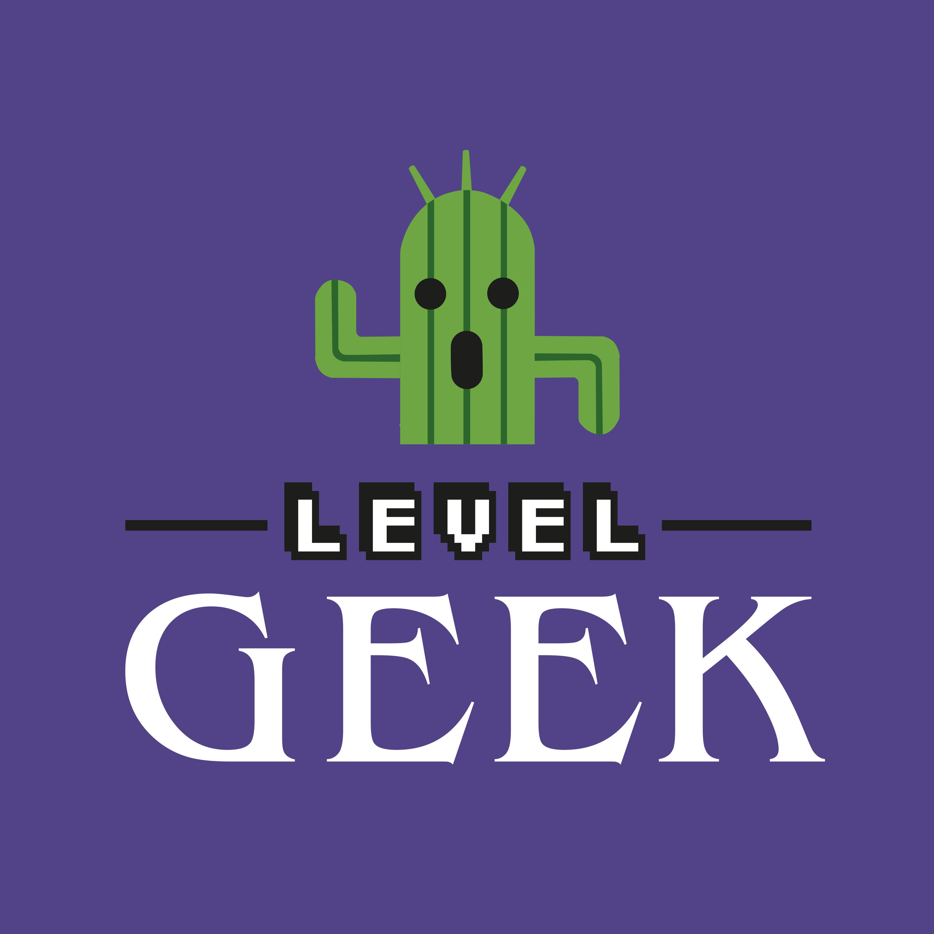 Level Geek
