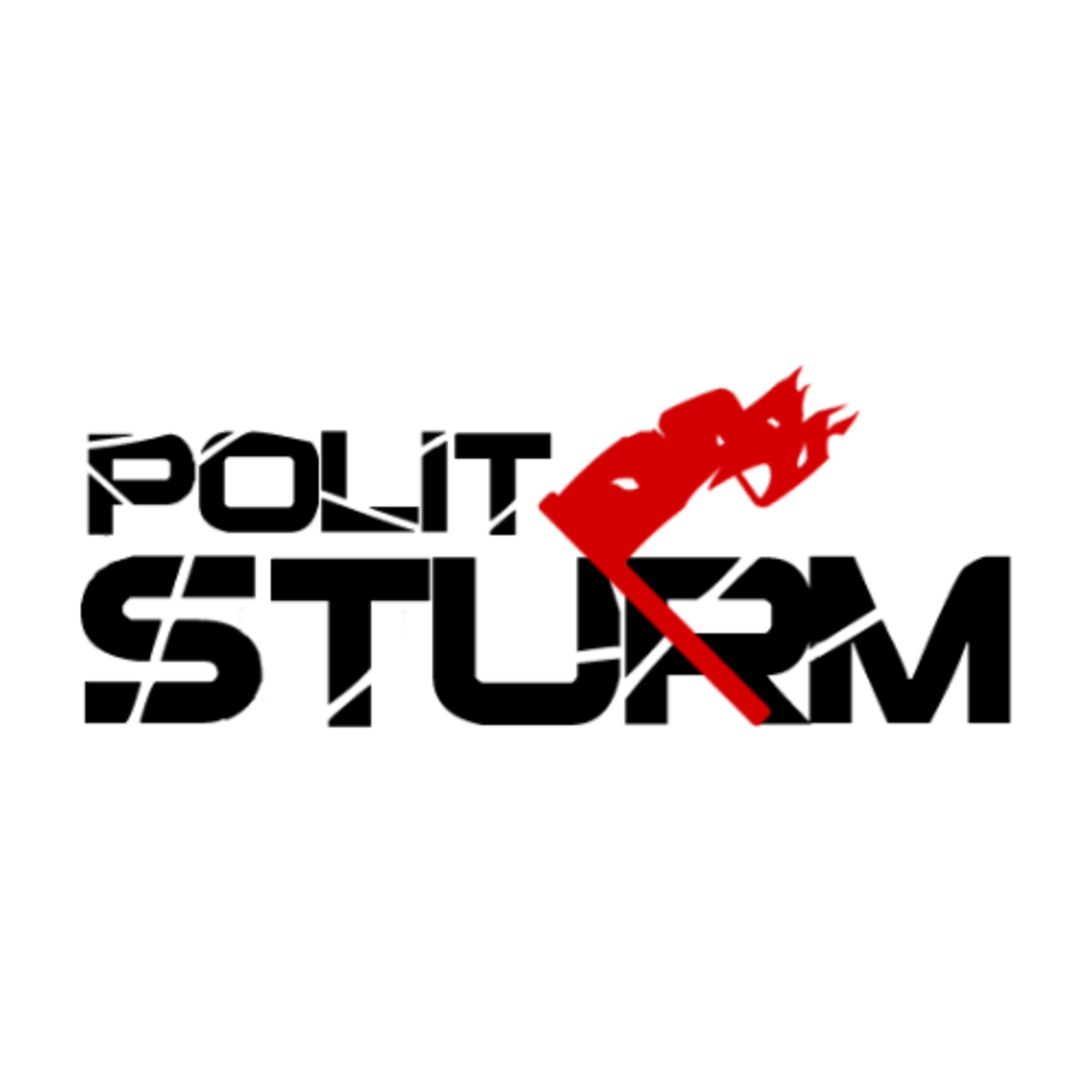 POLITSTURM Türkçe 