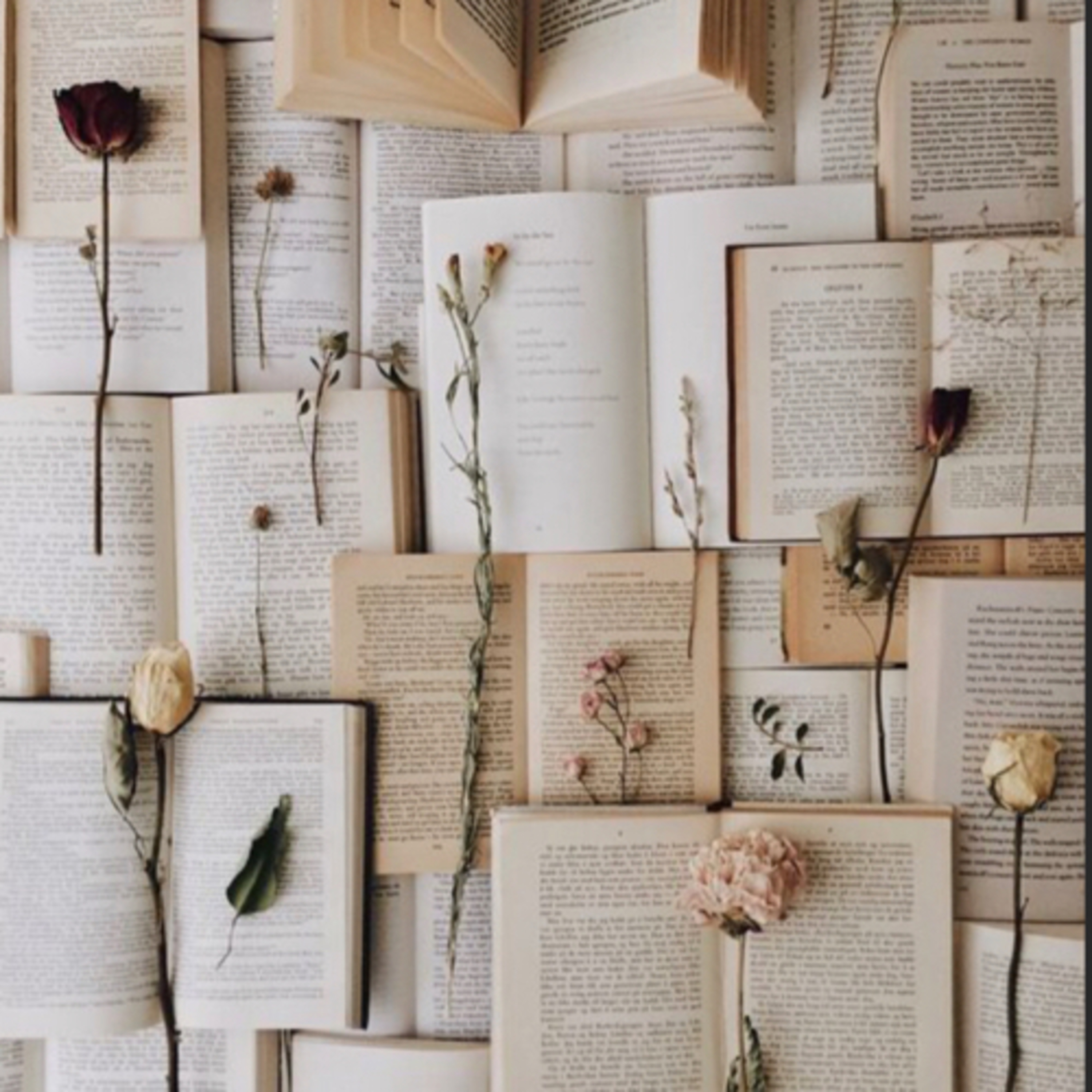 Always Buried in books cover art