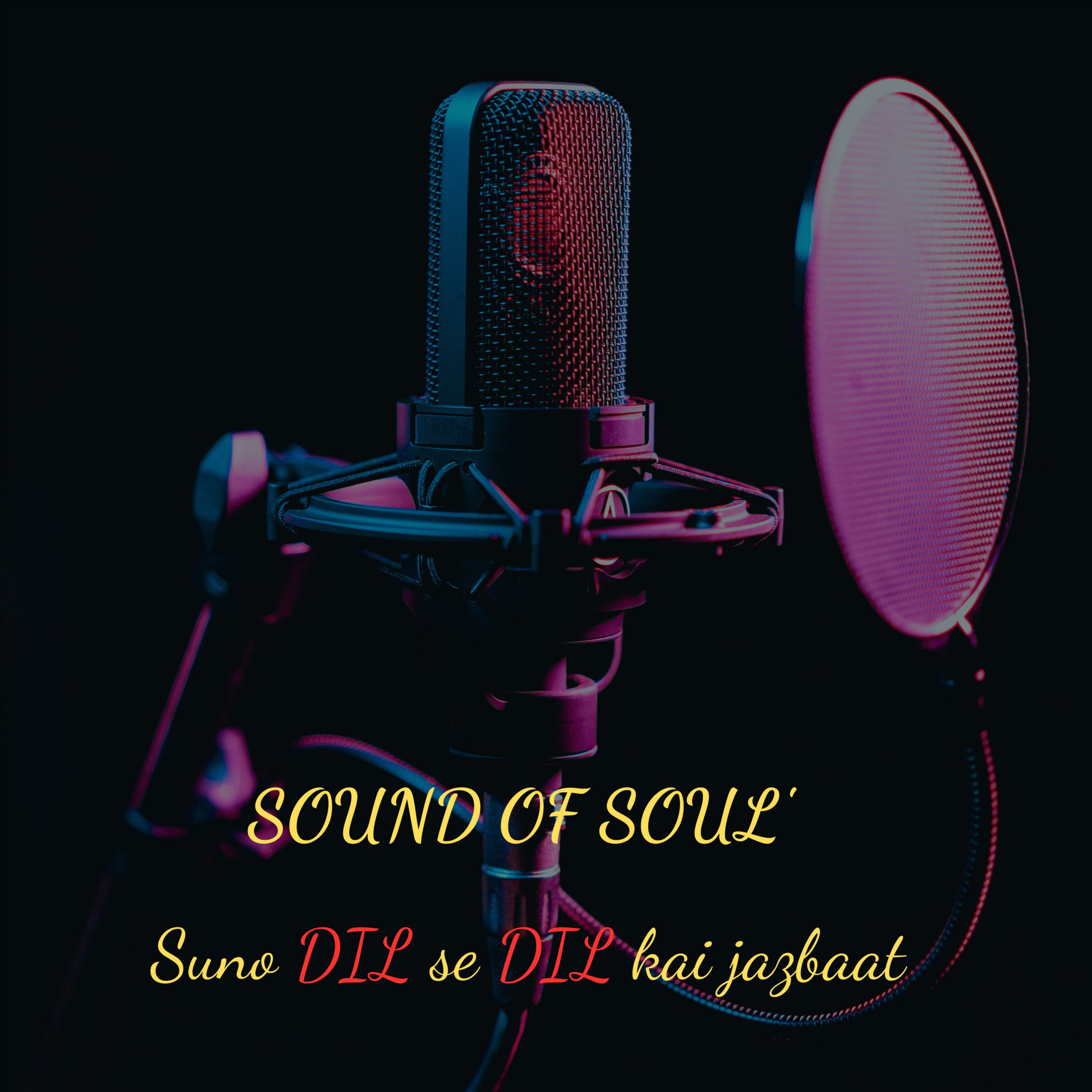 SOUND OF SOUL\'