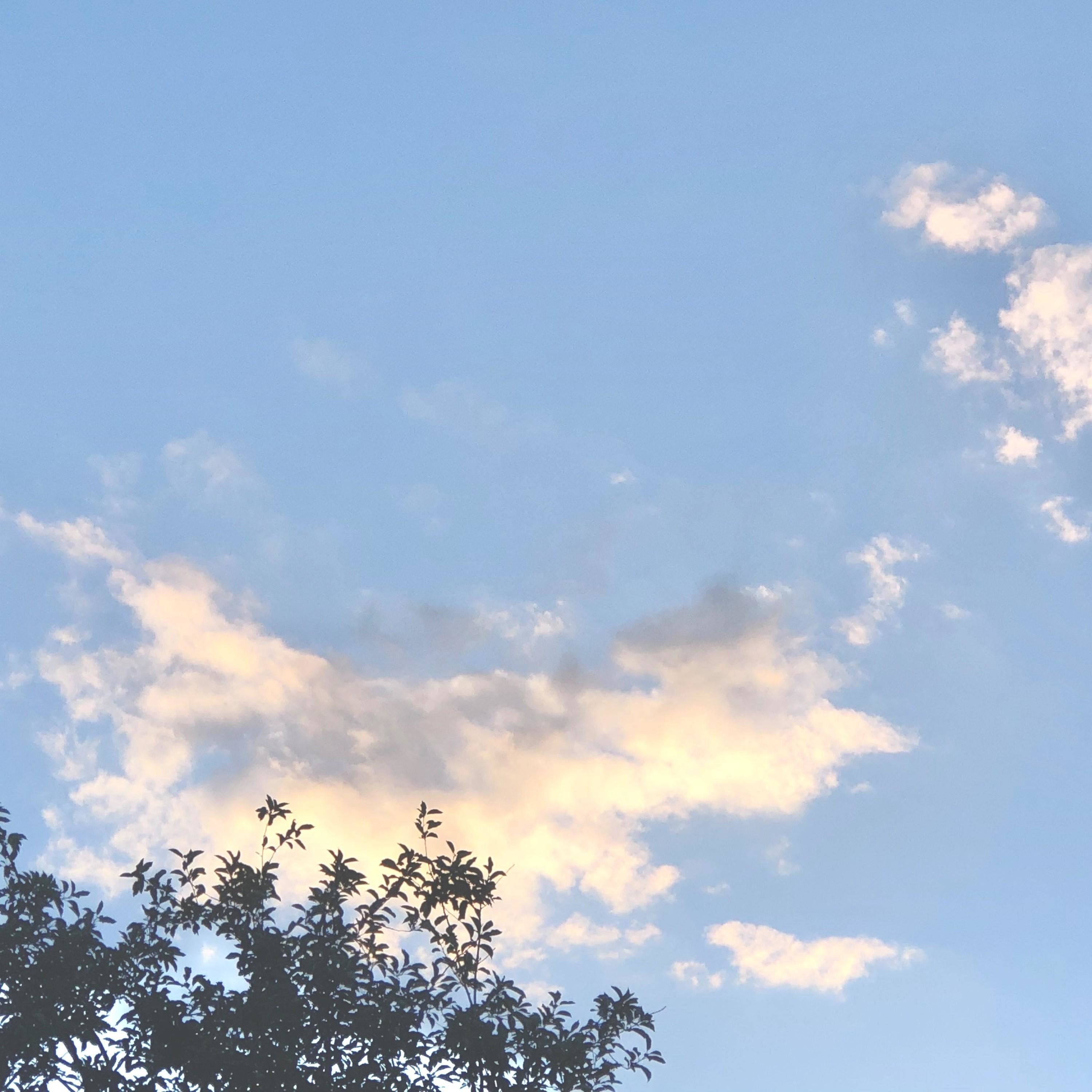 The Thicker Than A Snicker Show cover art