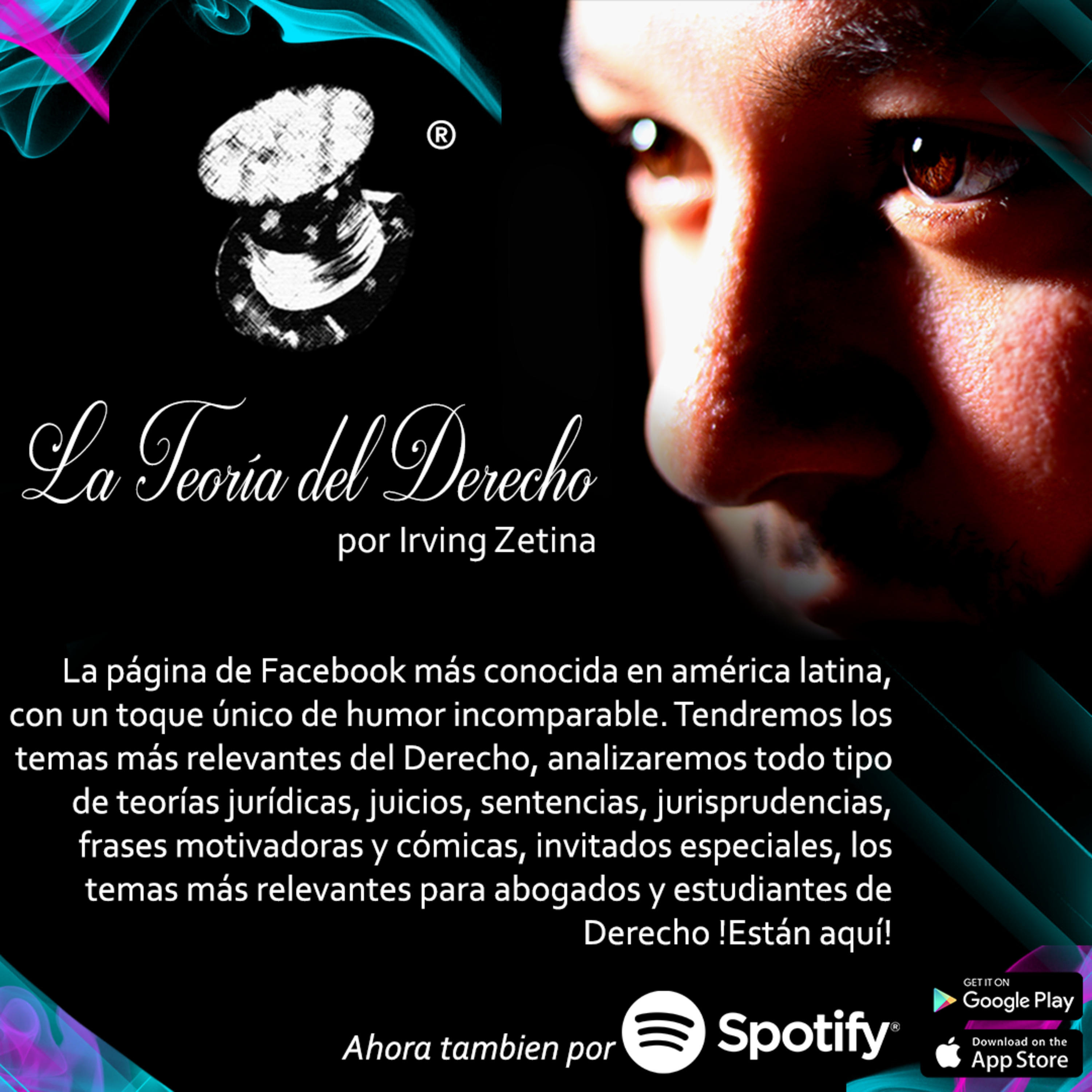 La Teoría Del Derecho 