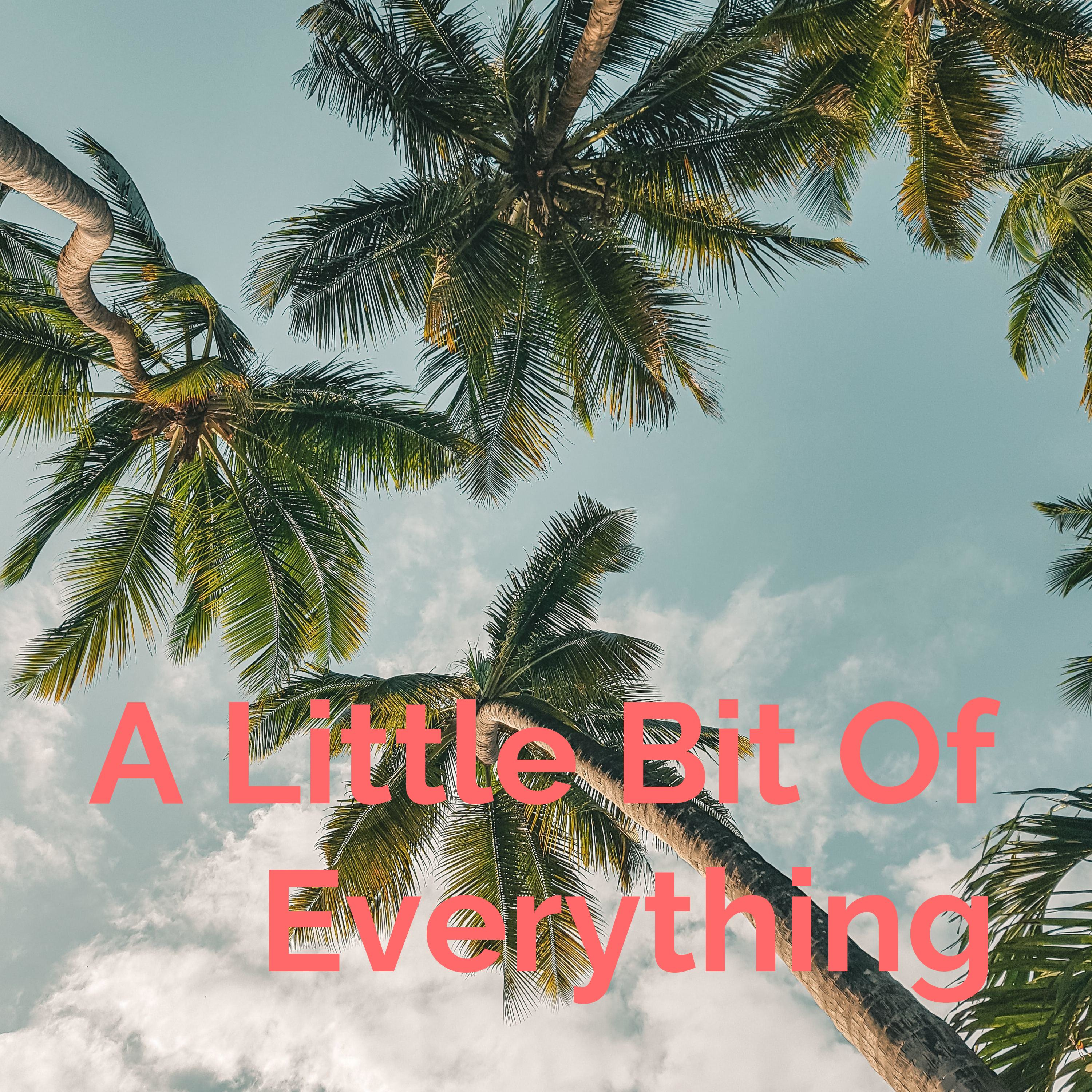 A Little Bit Of Everything