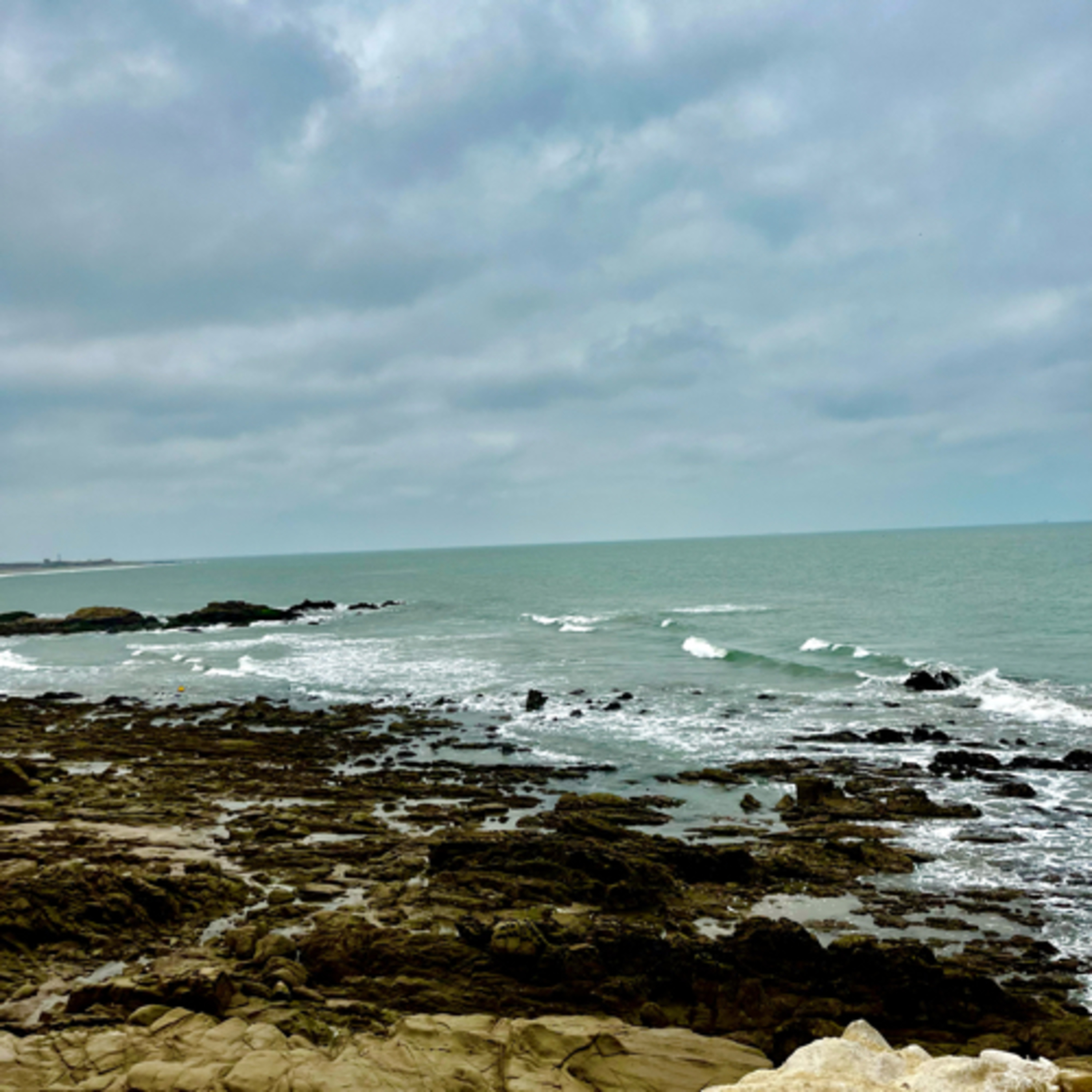 Creer - Crear - Crecer