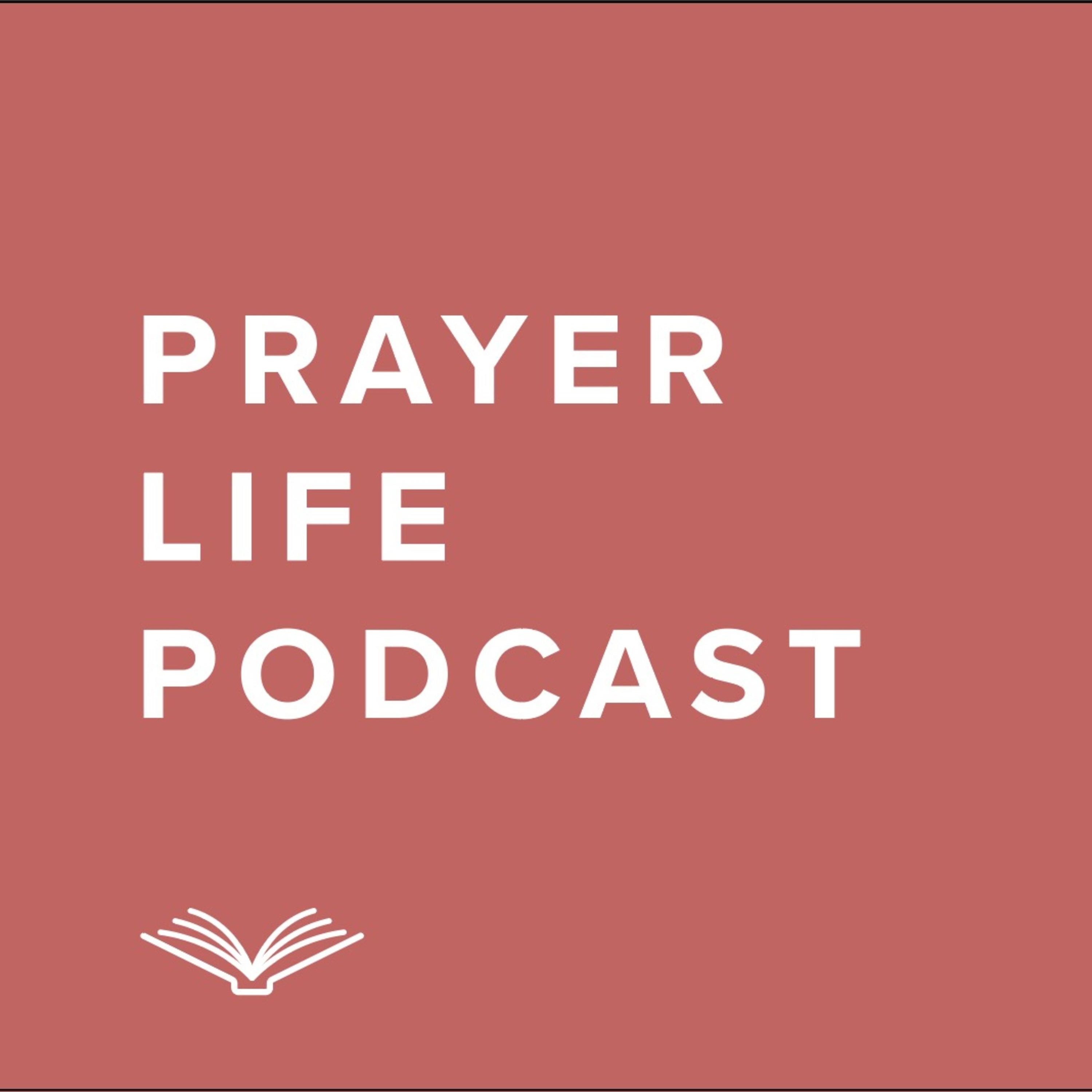 The Eclectic Culture Podcast